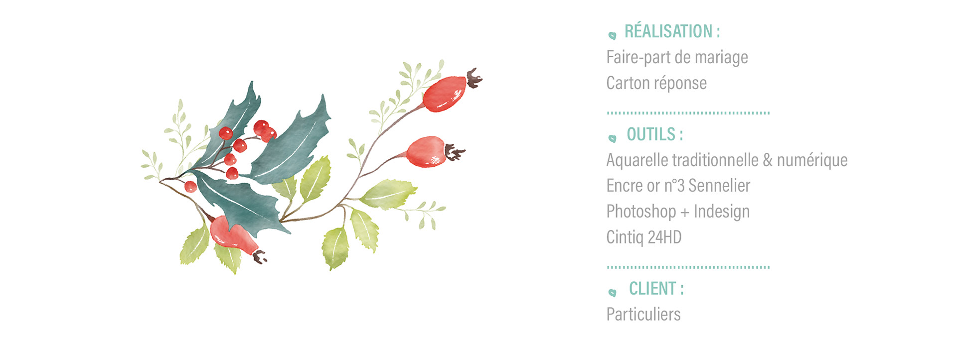 élément graphique aquarelle numérique branche de hou et de cynorrhodon + texte descriptif des outils utilisés