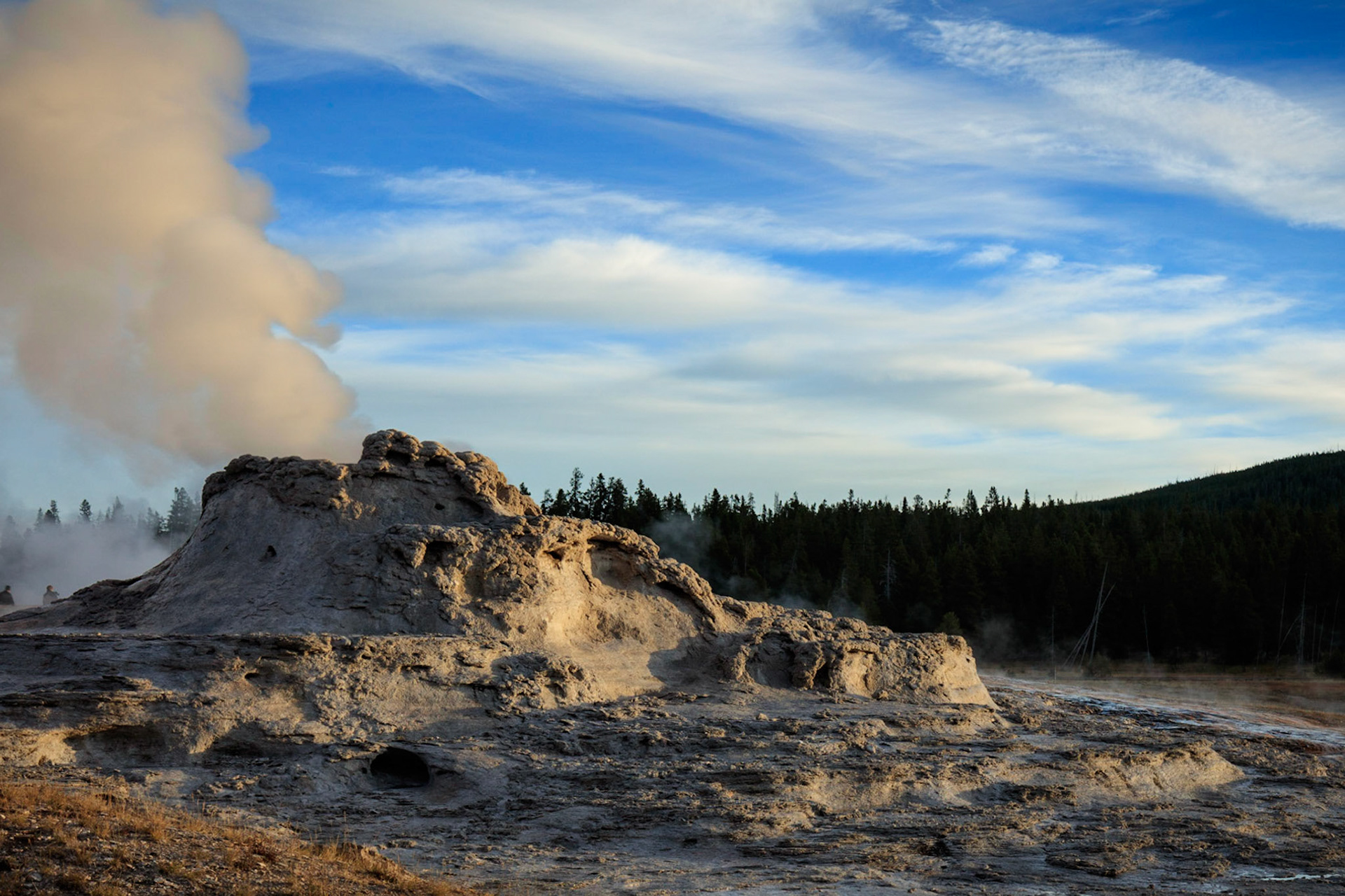 Castle Geyser in Yellowstone National Park.