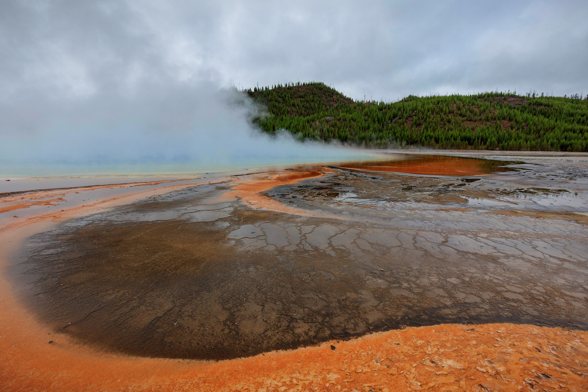 Geyser basin in Grand Prismatic Spring at Yellowstone National Park.