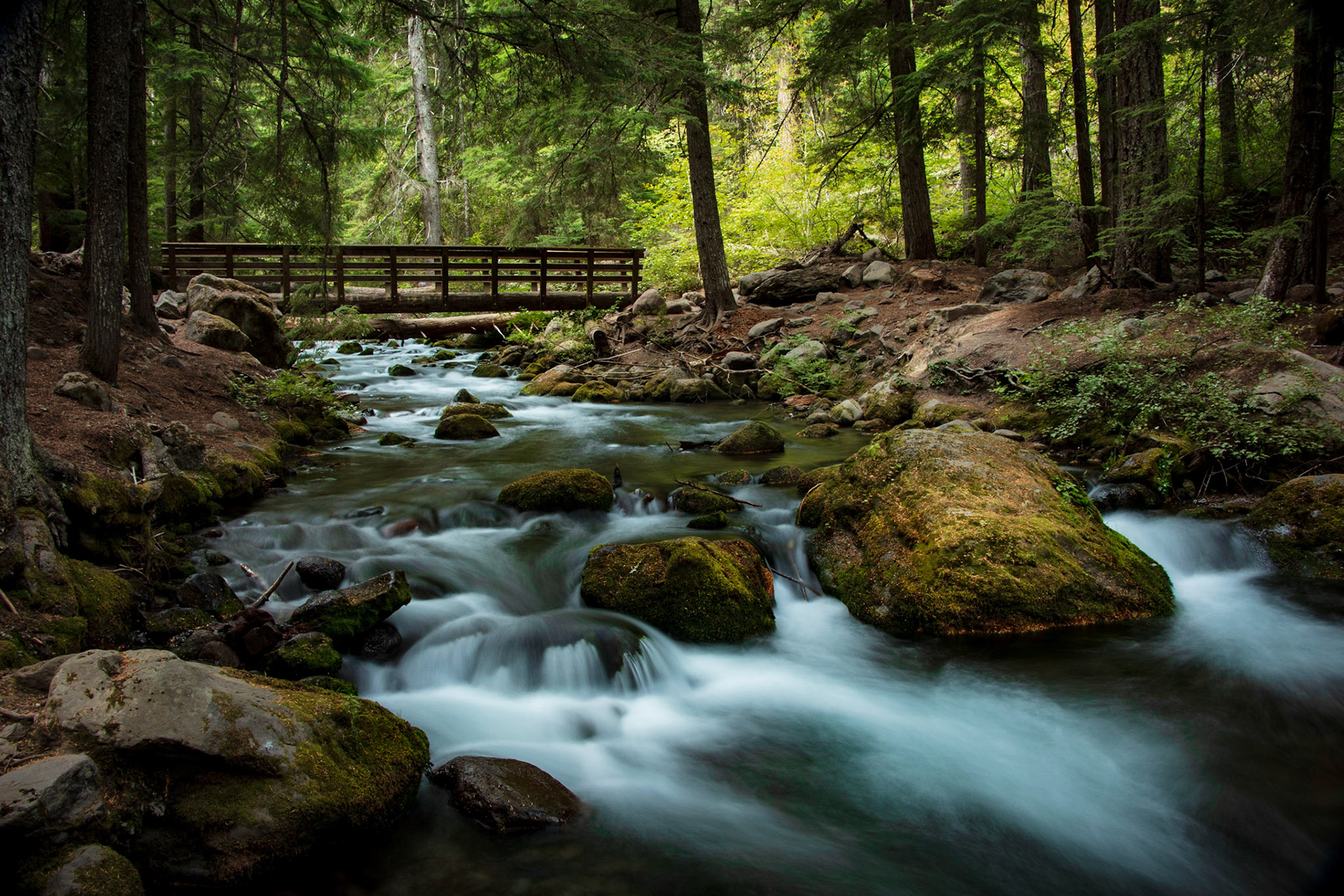 Water flowing under a wooden bridge along the Tamanawas Falls Trailhead, under the shadow of Mt. Hood in Oregon.