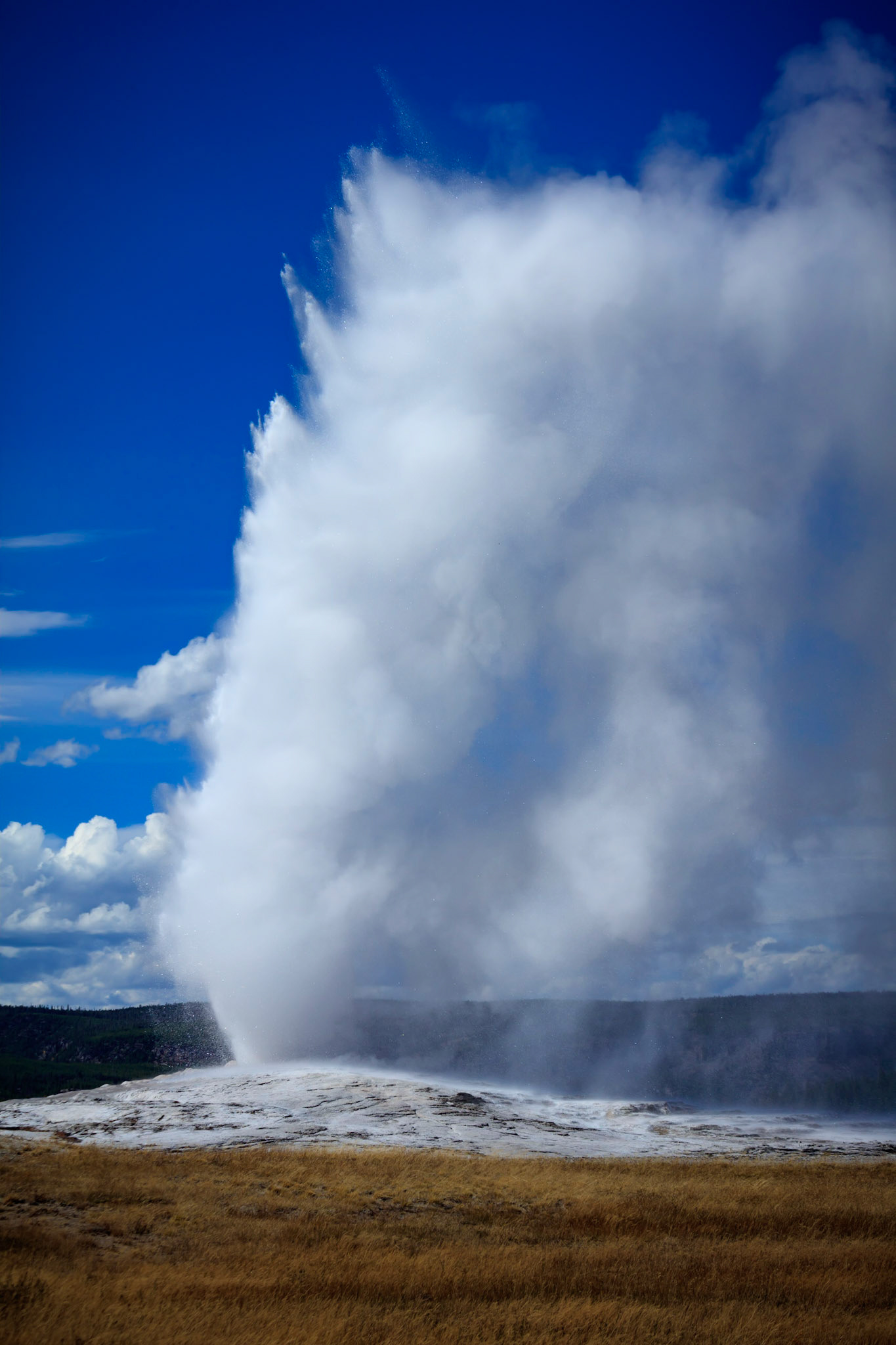 Old Faithful erupting in Yellowstone National Park.