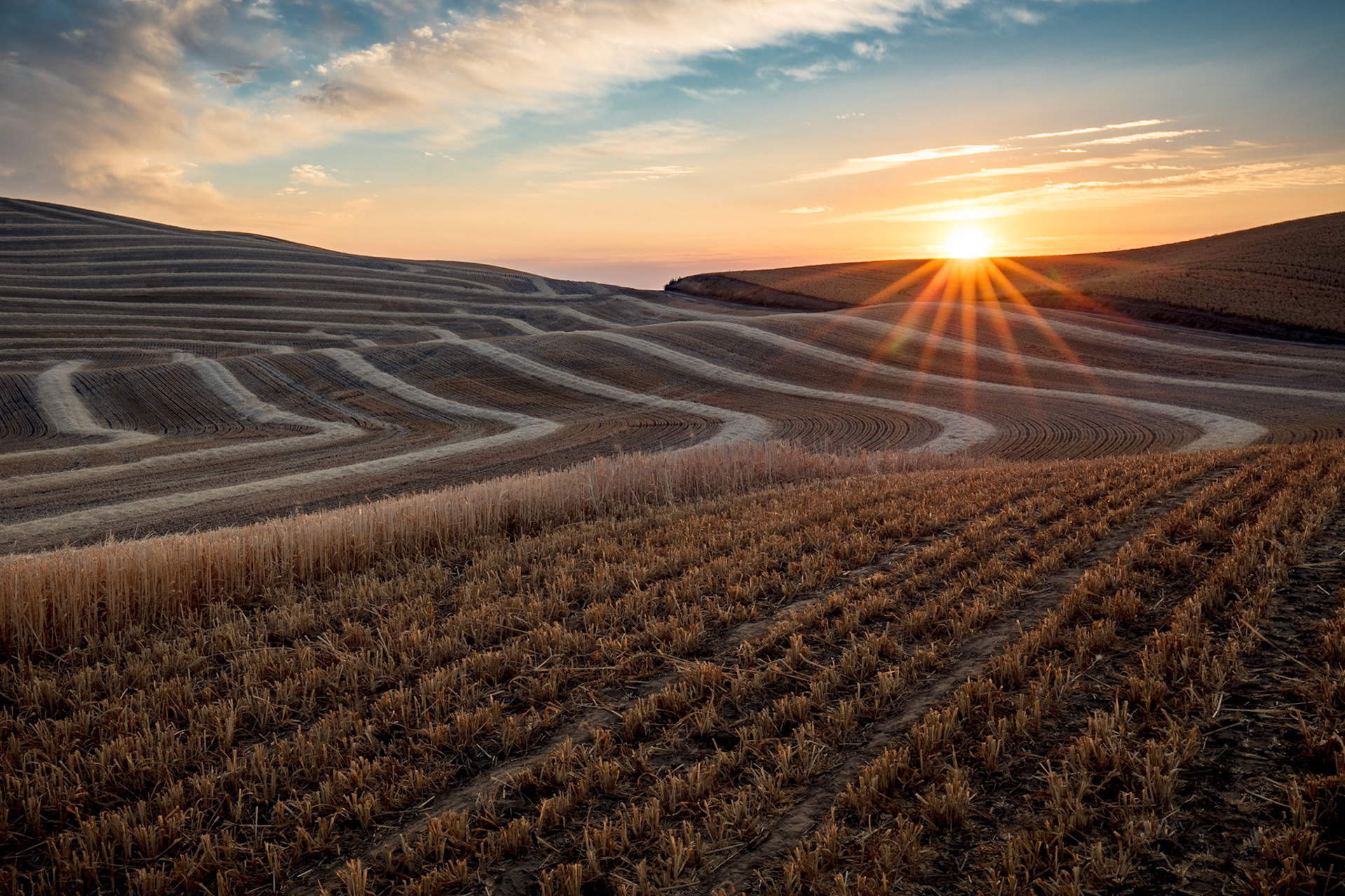 Taken at first light, the contours of the Palouse wheat fields are seen after a recent harvest.