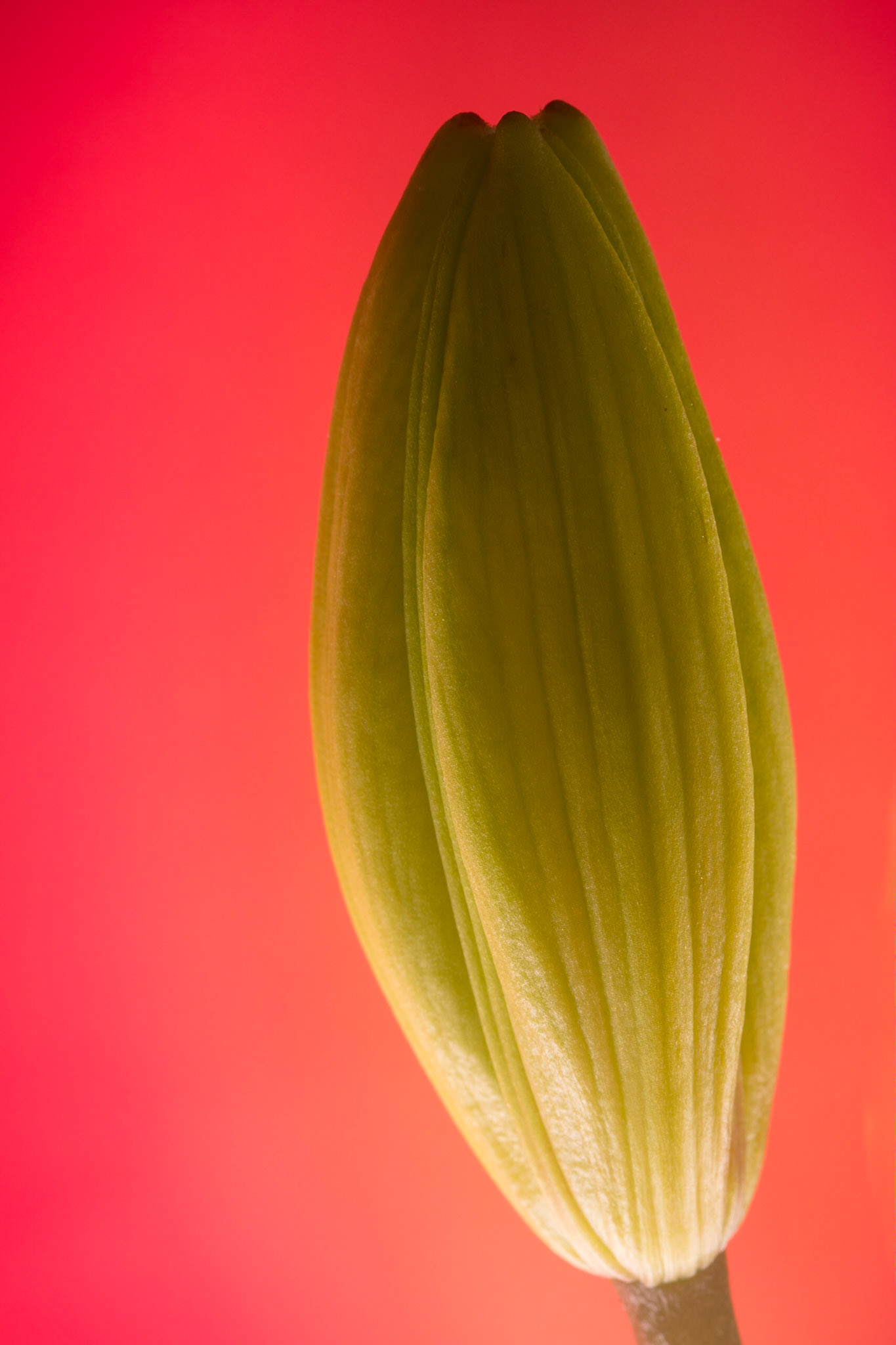 This is the caption...