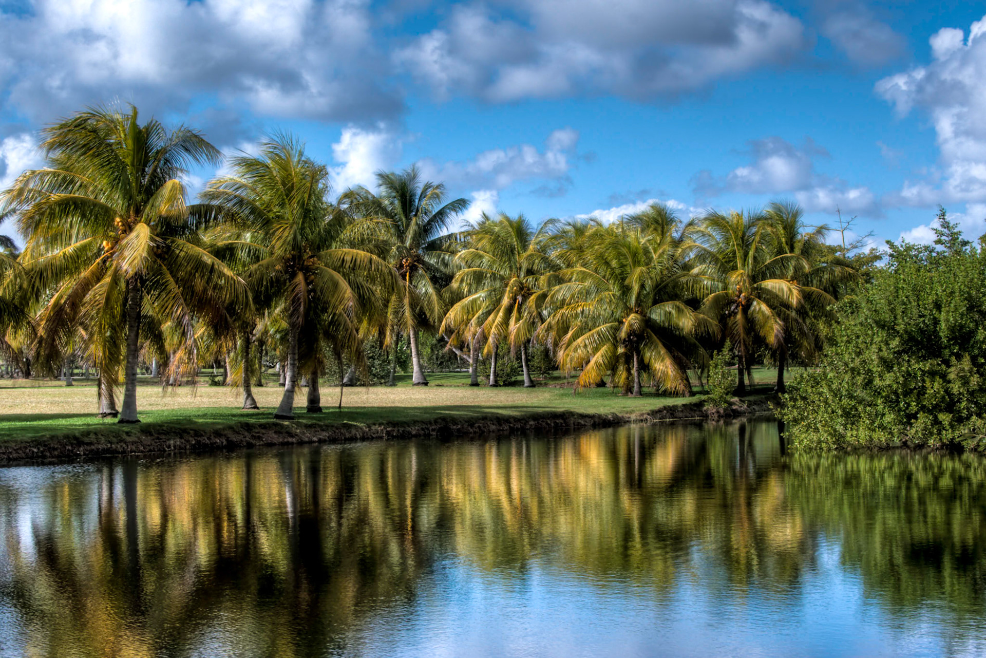 One of the several ponds in the Fairchild Tropical Botanic Garden in Miami, Florida.  The garden is one of the world's preeminent botanic gardens with extensive collections of rare tropical plants including palms, cycads, flowering trees, vines, and succulents.