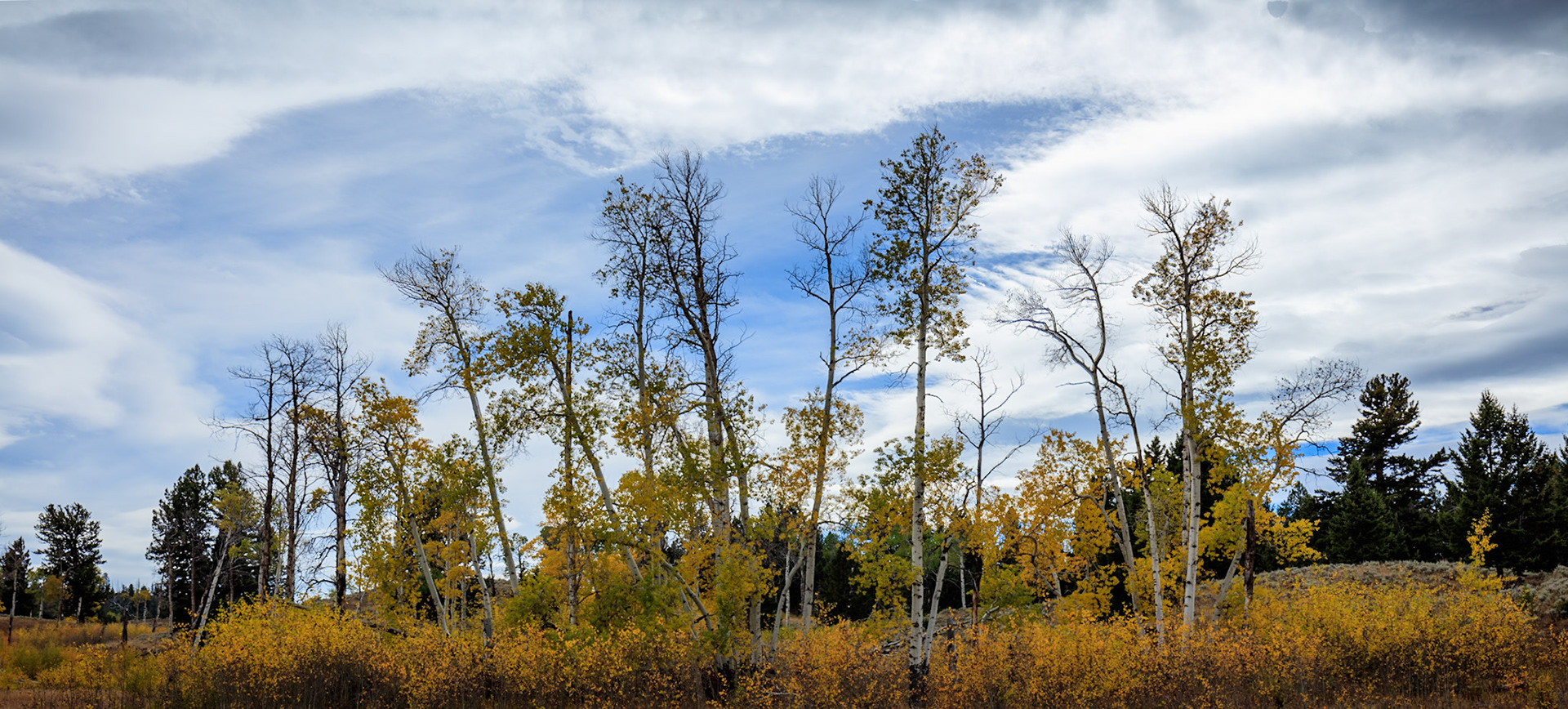 Blacktail Plateau Drive, Yellowstone National Park