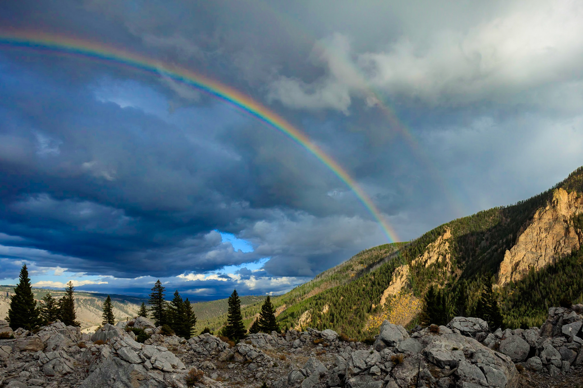 A Yellowstone rainbow taken from Golden Gate Canyon in Yellowstone National Park.