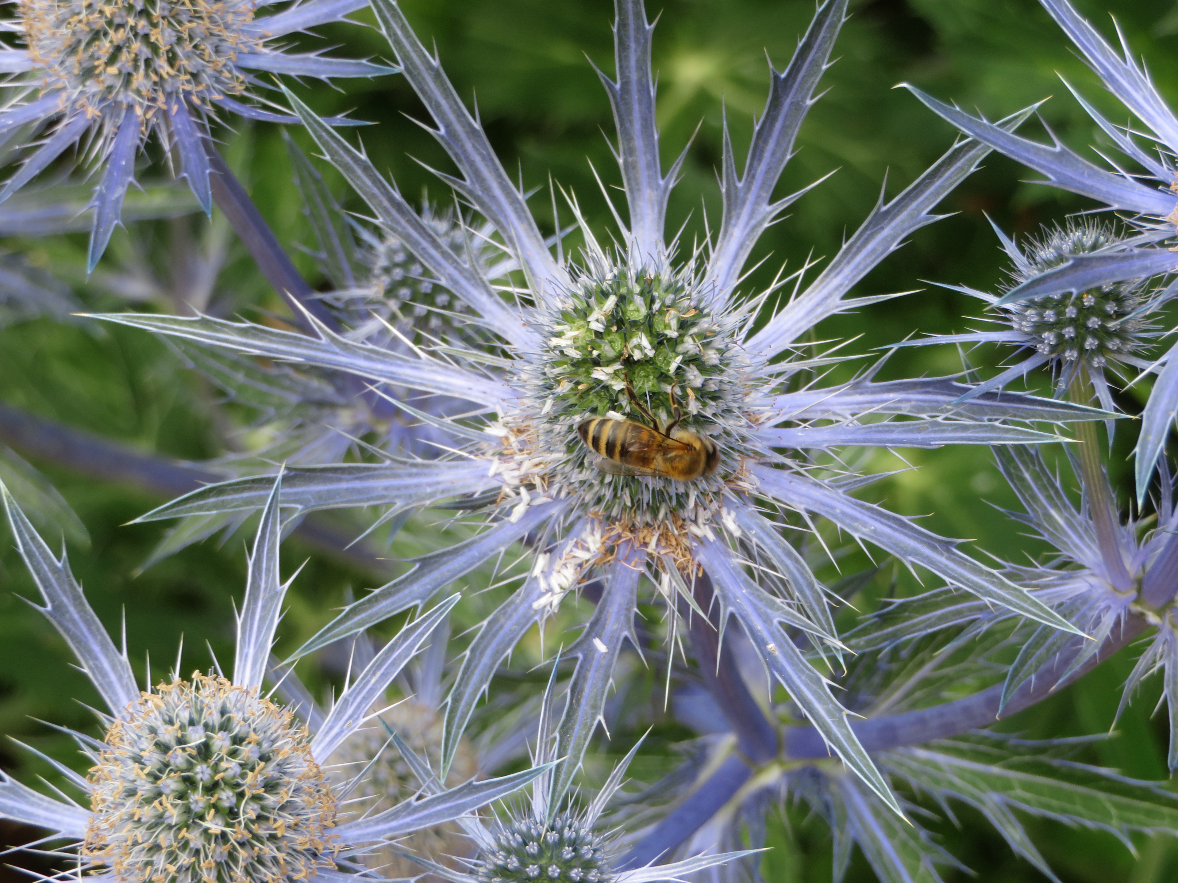 Photo Taken By: John Patrick (JP) Evans