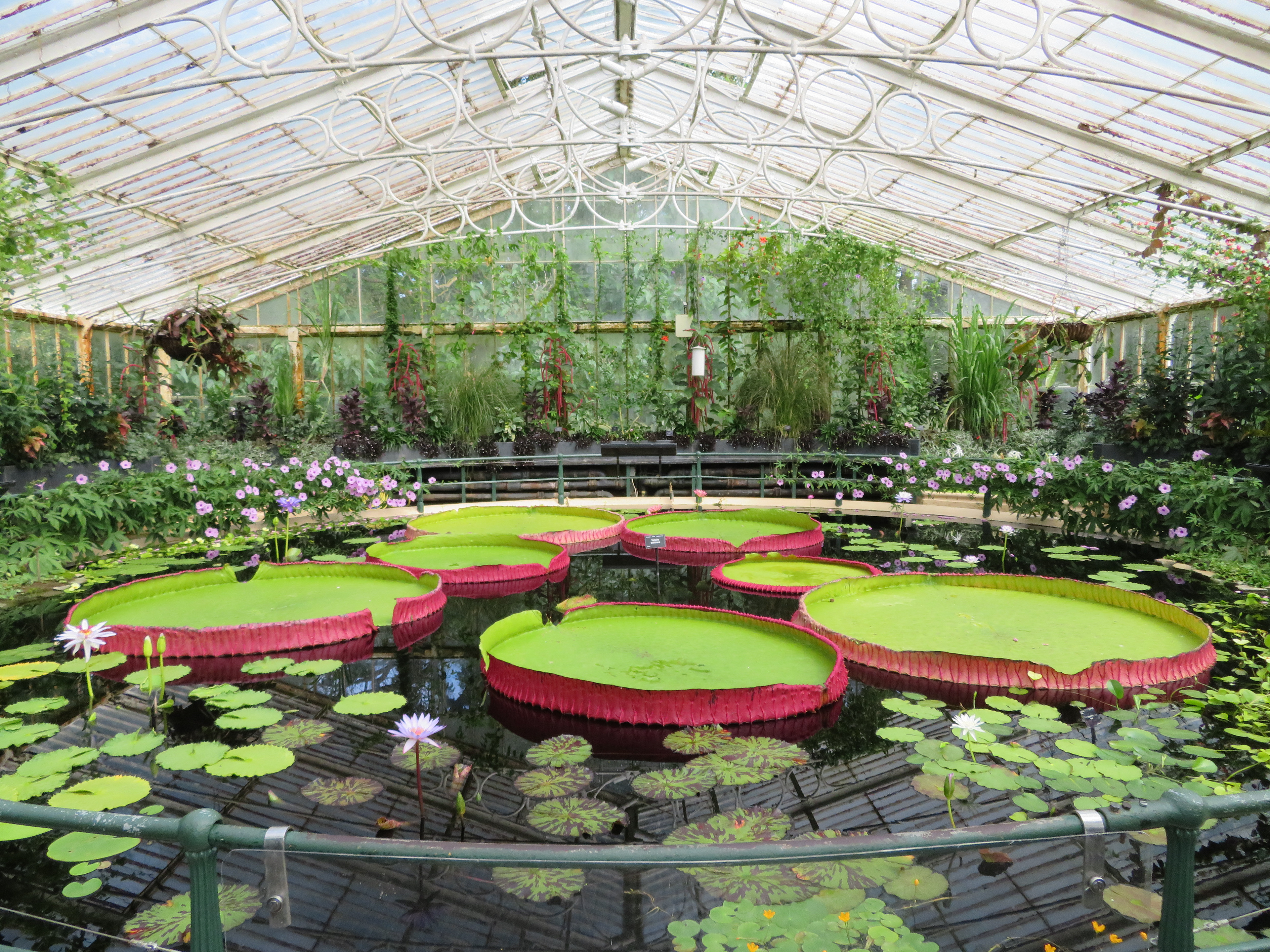 Photo Taken By: John Patrick (JP) Evans