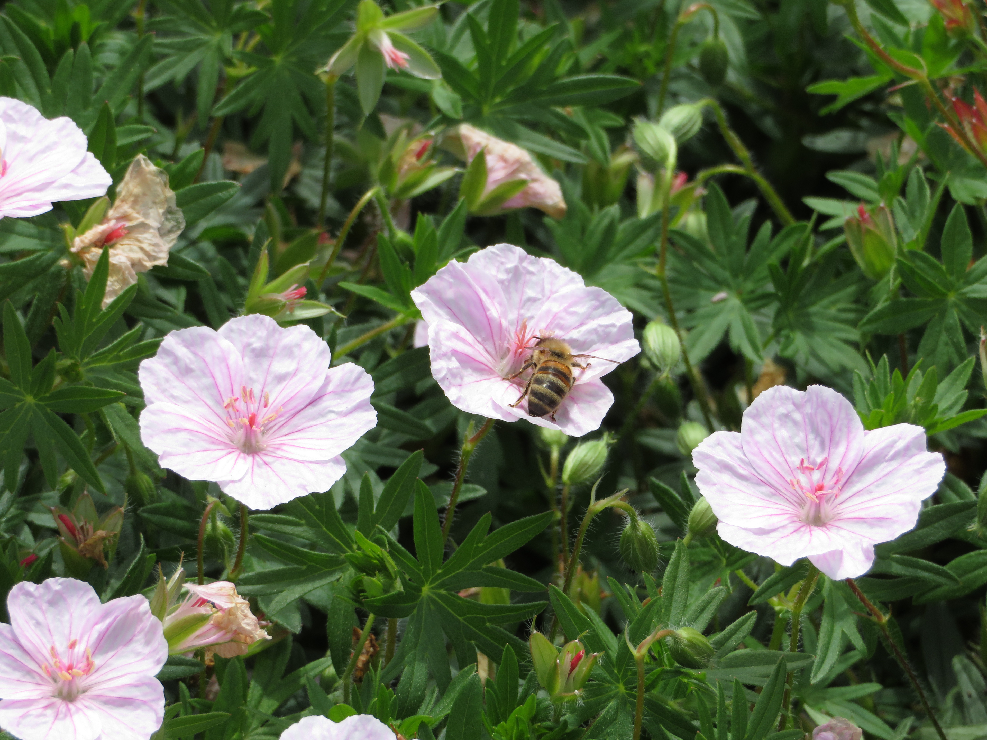 Photo Taken By: John Patrick (JP) Evans