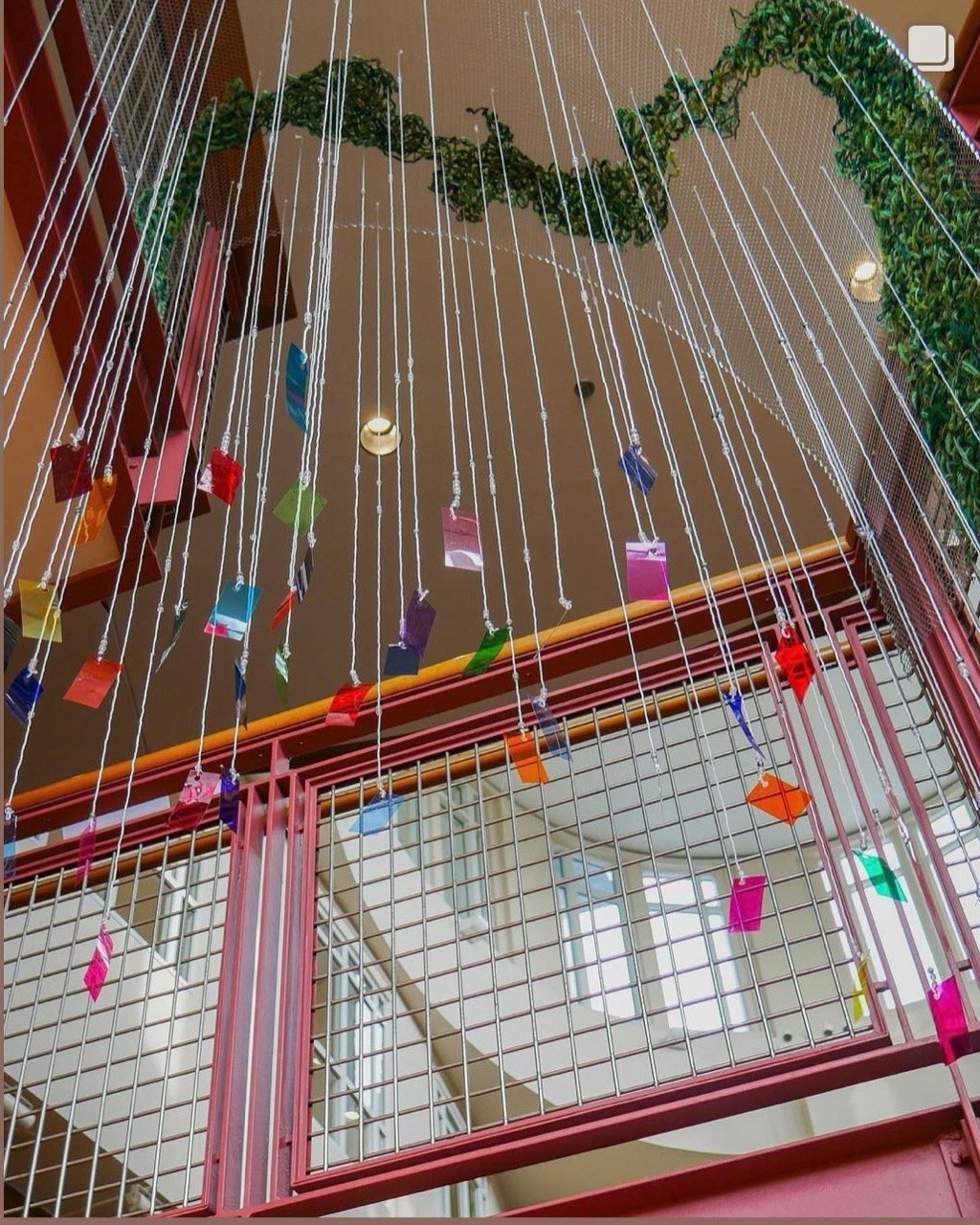 Photo Taken By: Hailey Garza