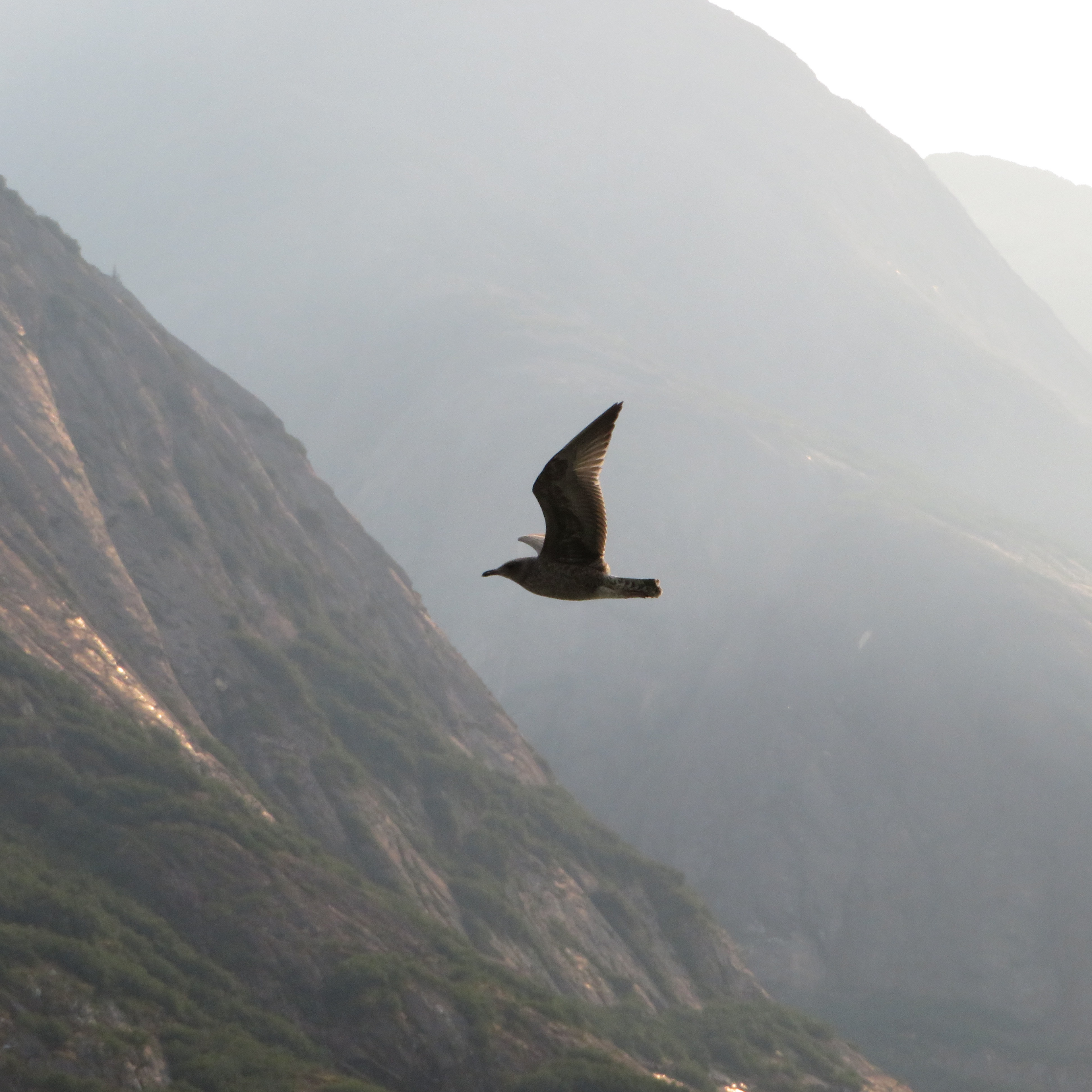 Photo Taken By: John Patrick (JP) Evans