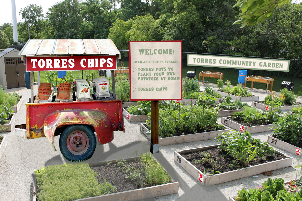 guerilla tactic: Torres Community Garden