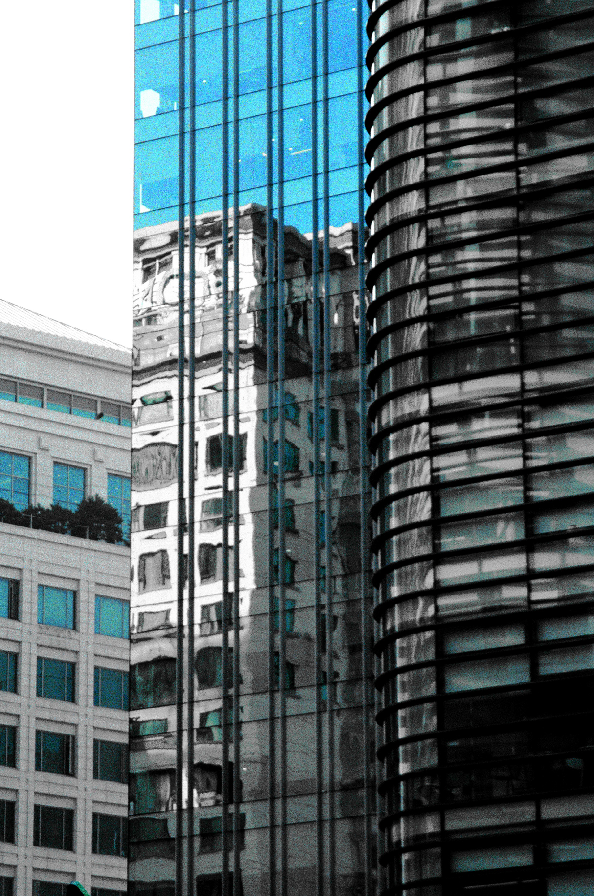 Blue Concrete Jungle