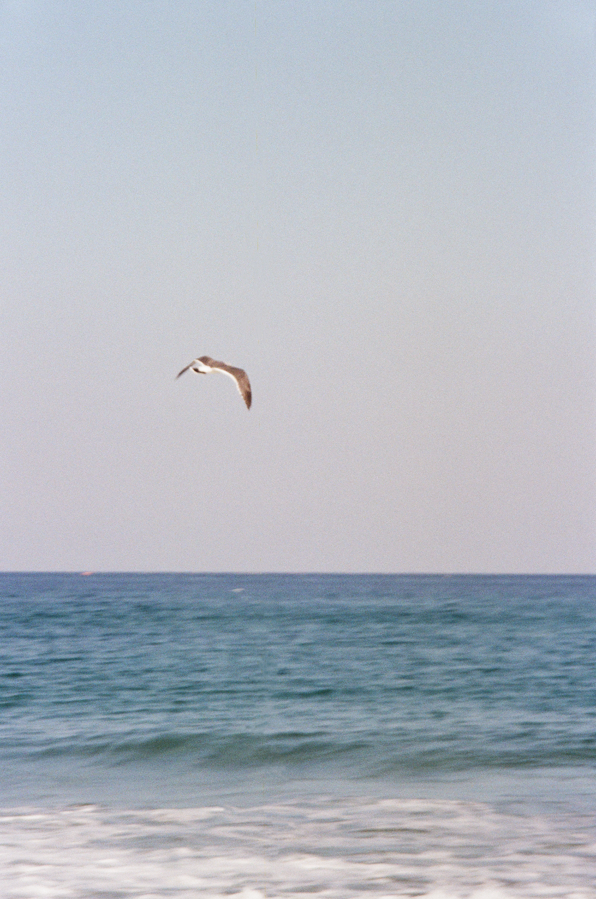 Traces 07
