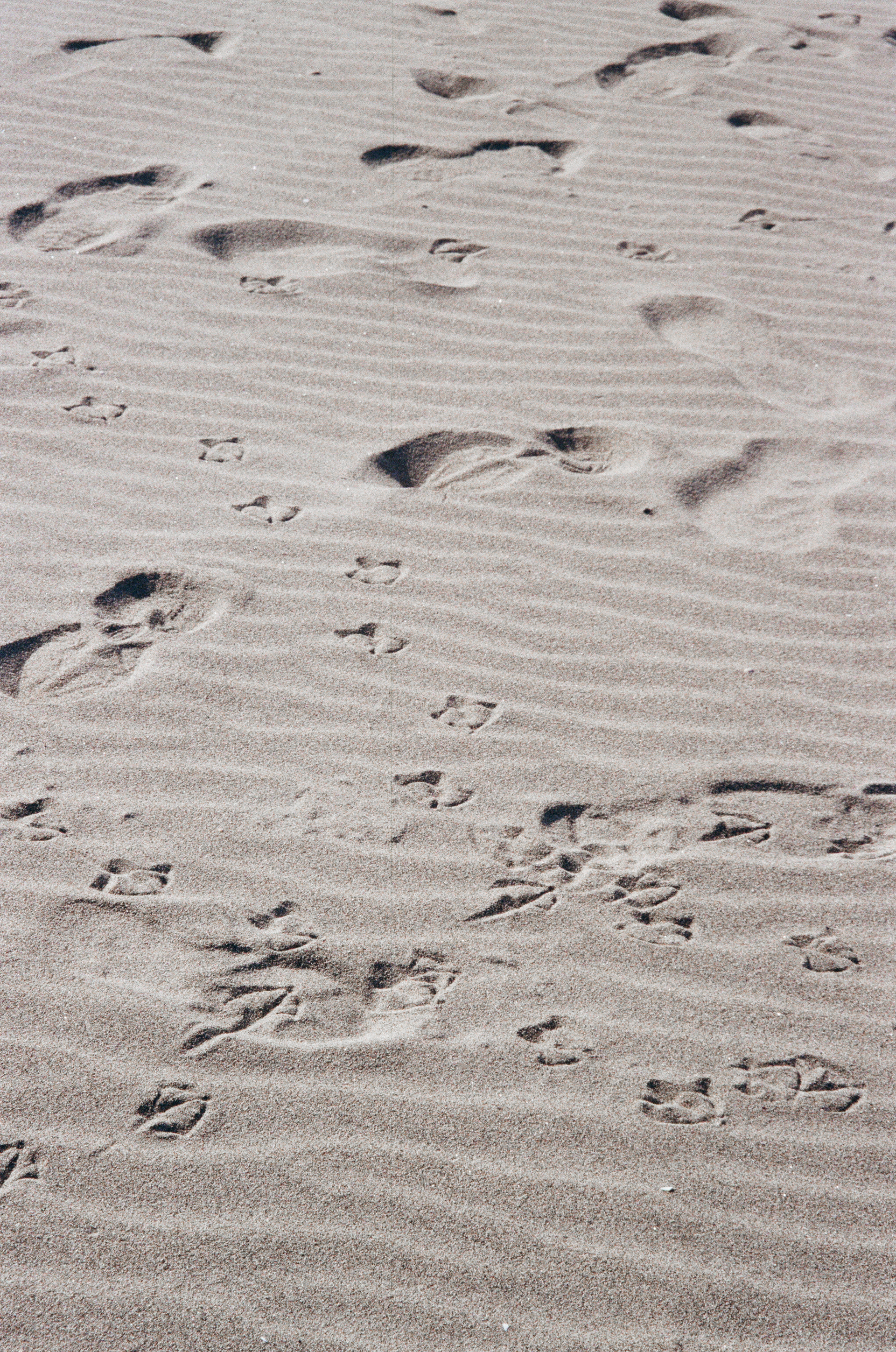 Traces 06