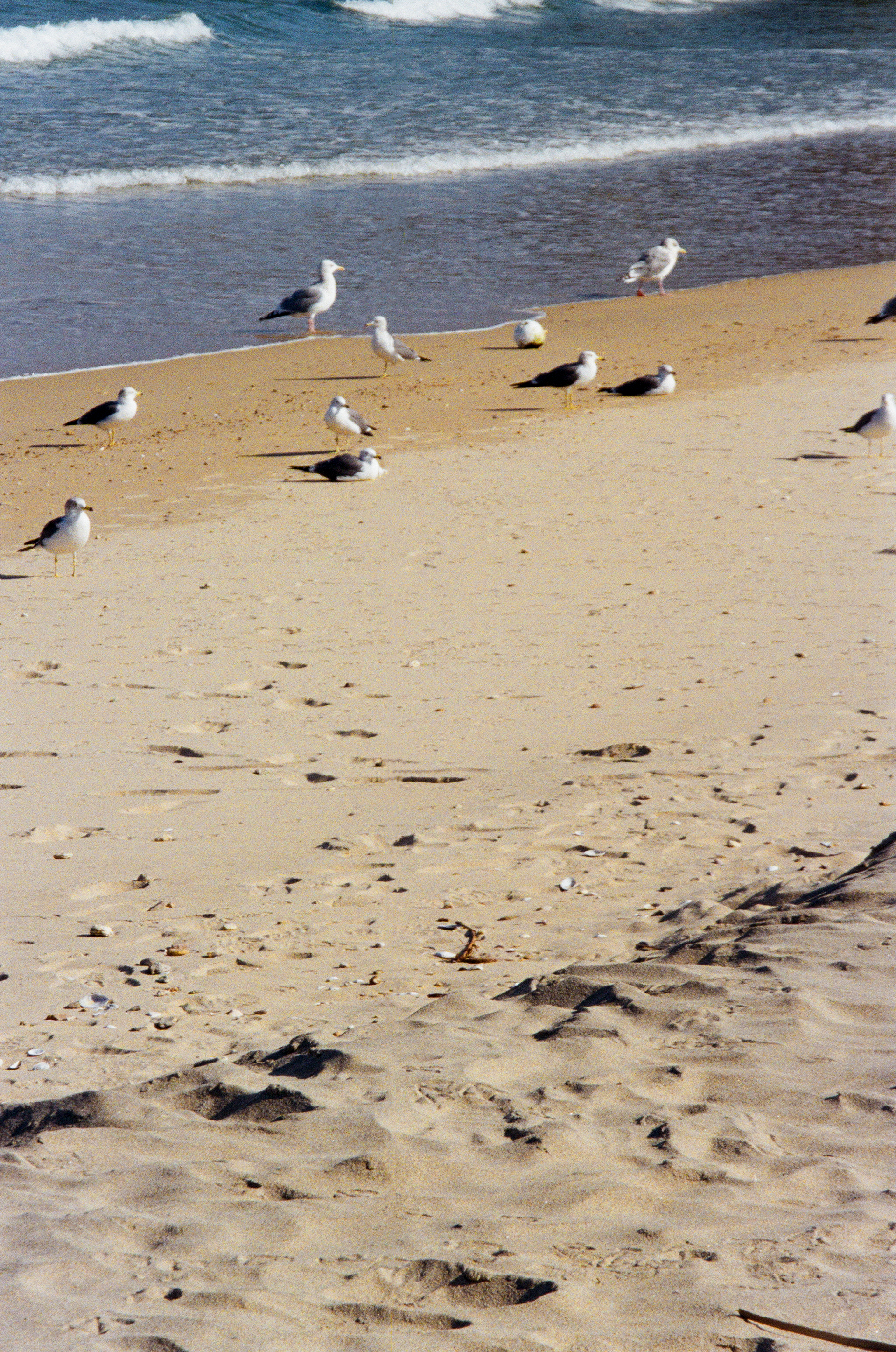 Traces 04