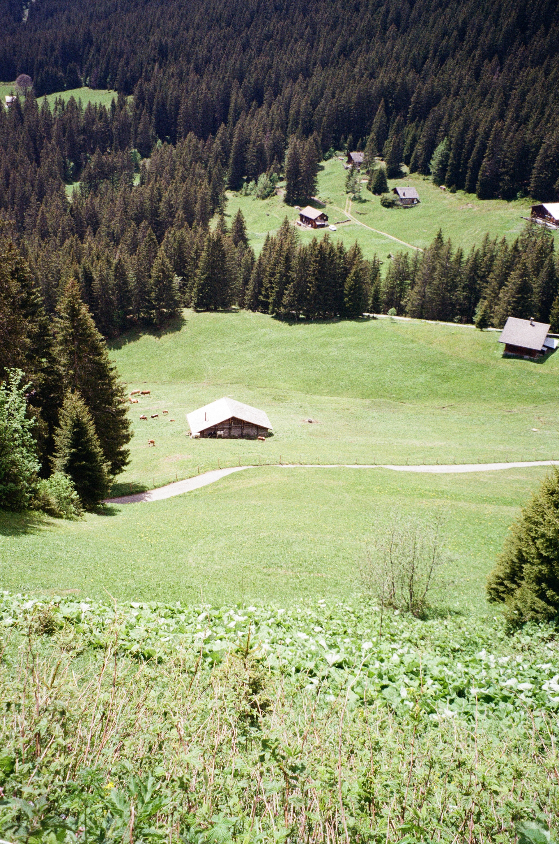 Grindelwald (town)