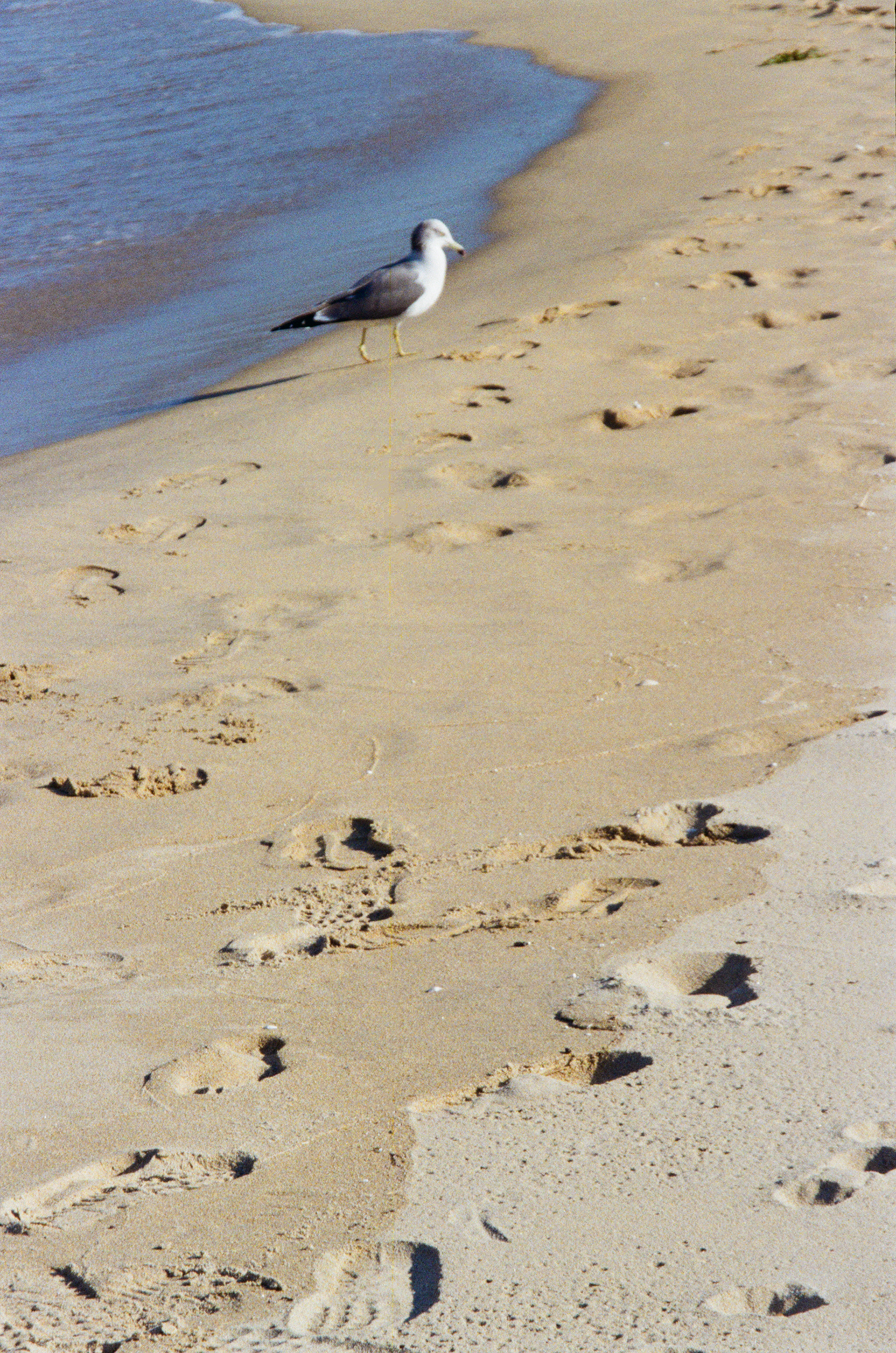Traces 03
