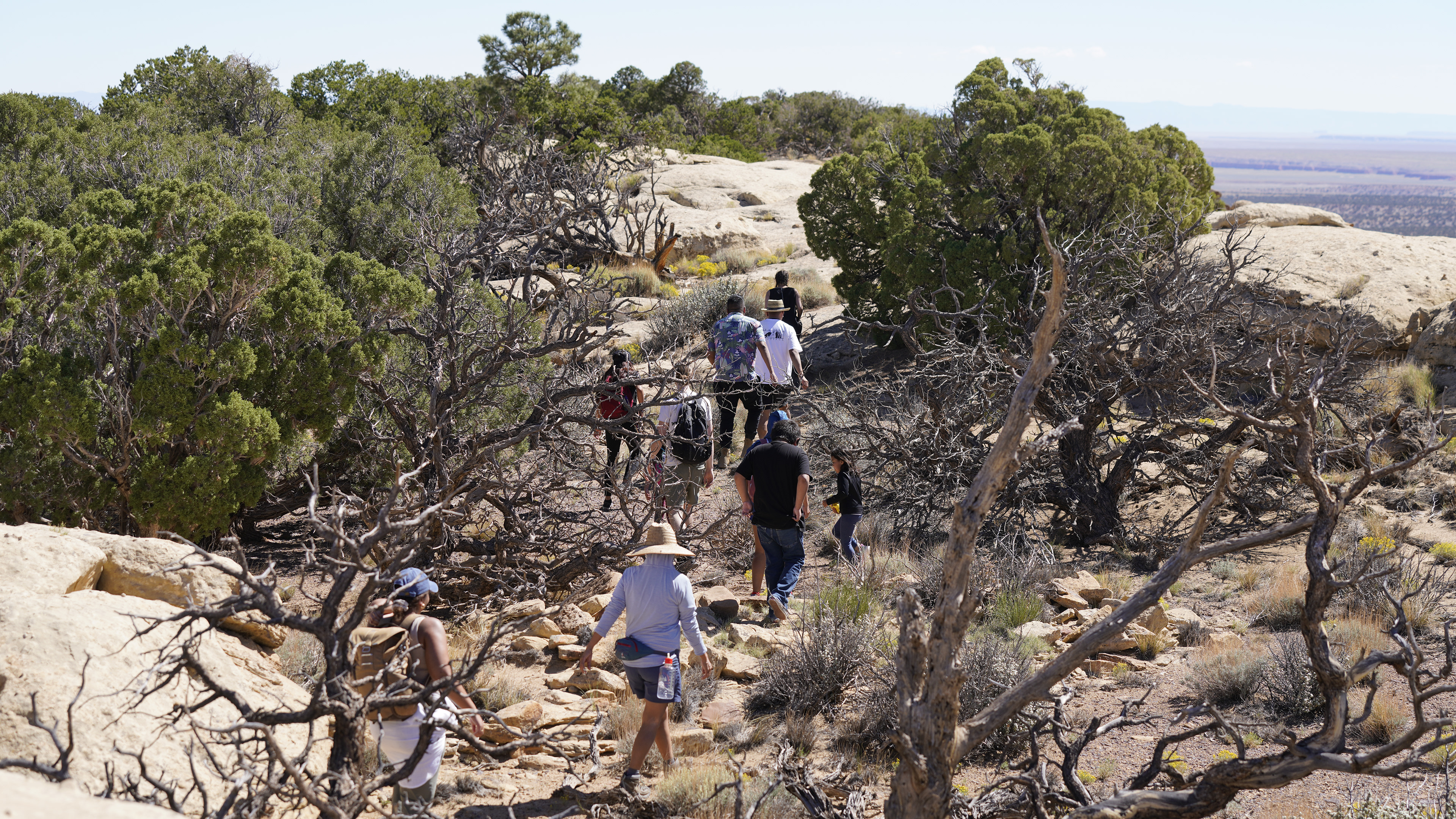 Hikers on Kayenta Trail