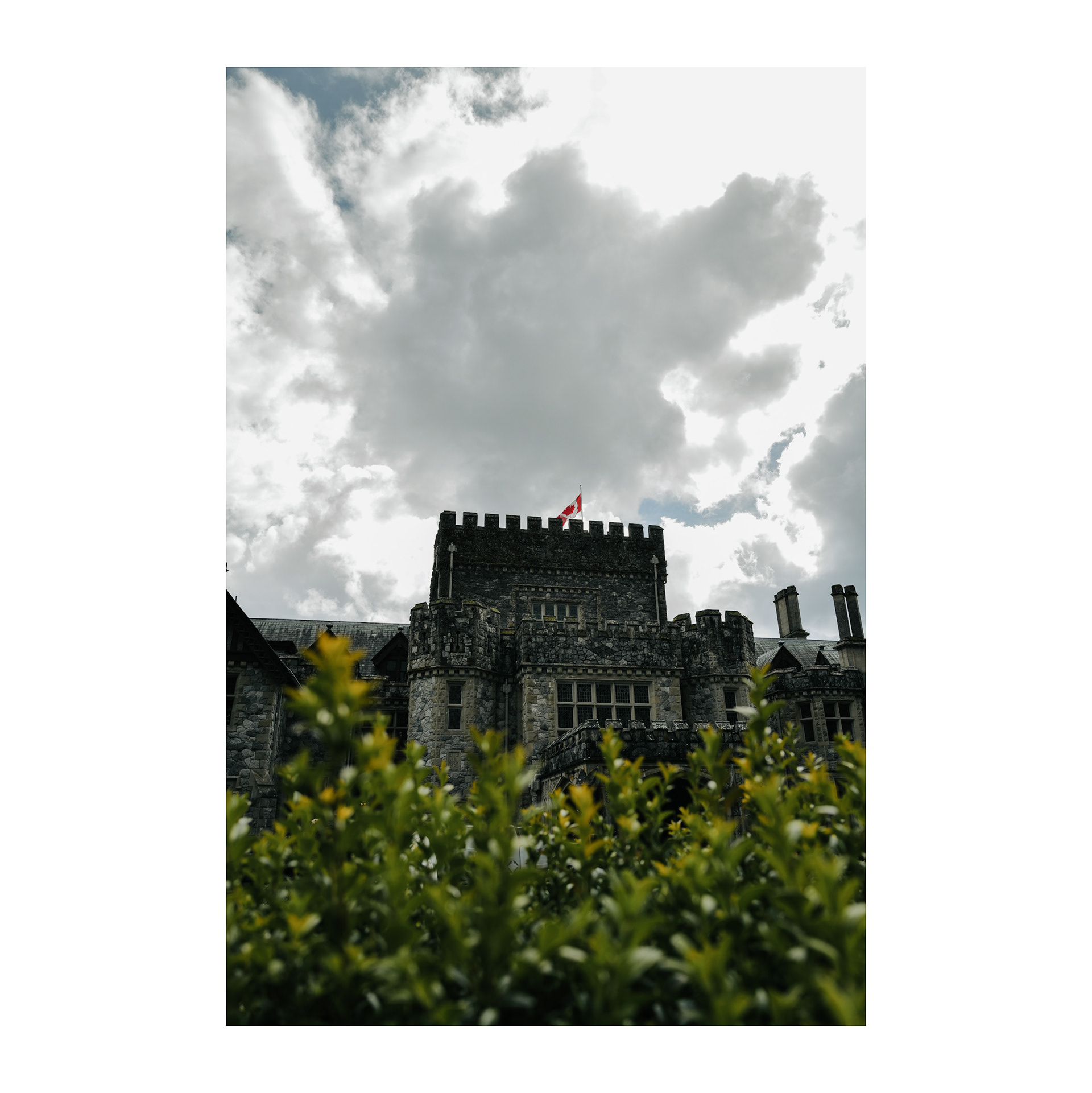 “In chess, the pawns go first.”