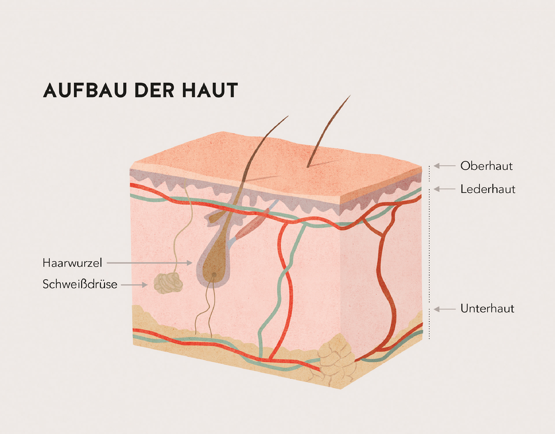 Gräfe und Unzer Verlag