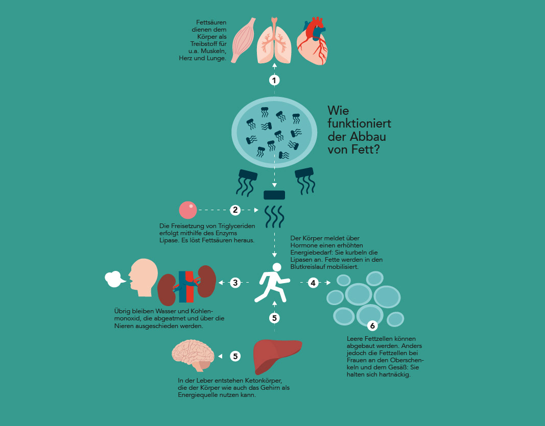 Gräfe und Unzer Verlag