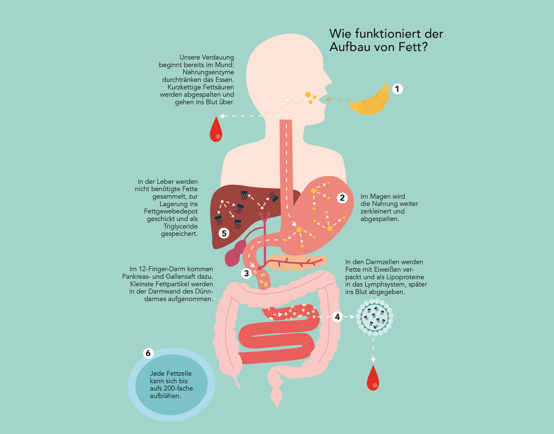 Gräfe und Unzer Verlag