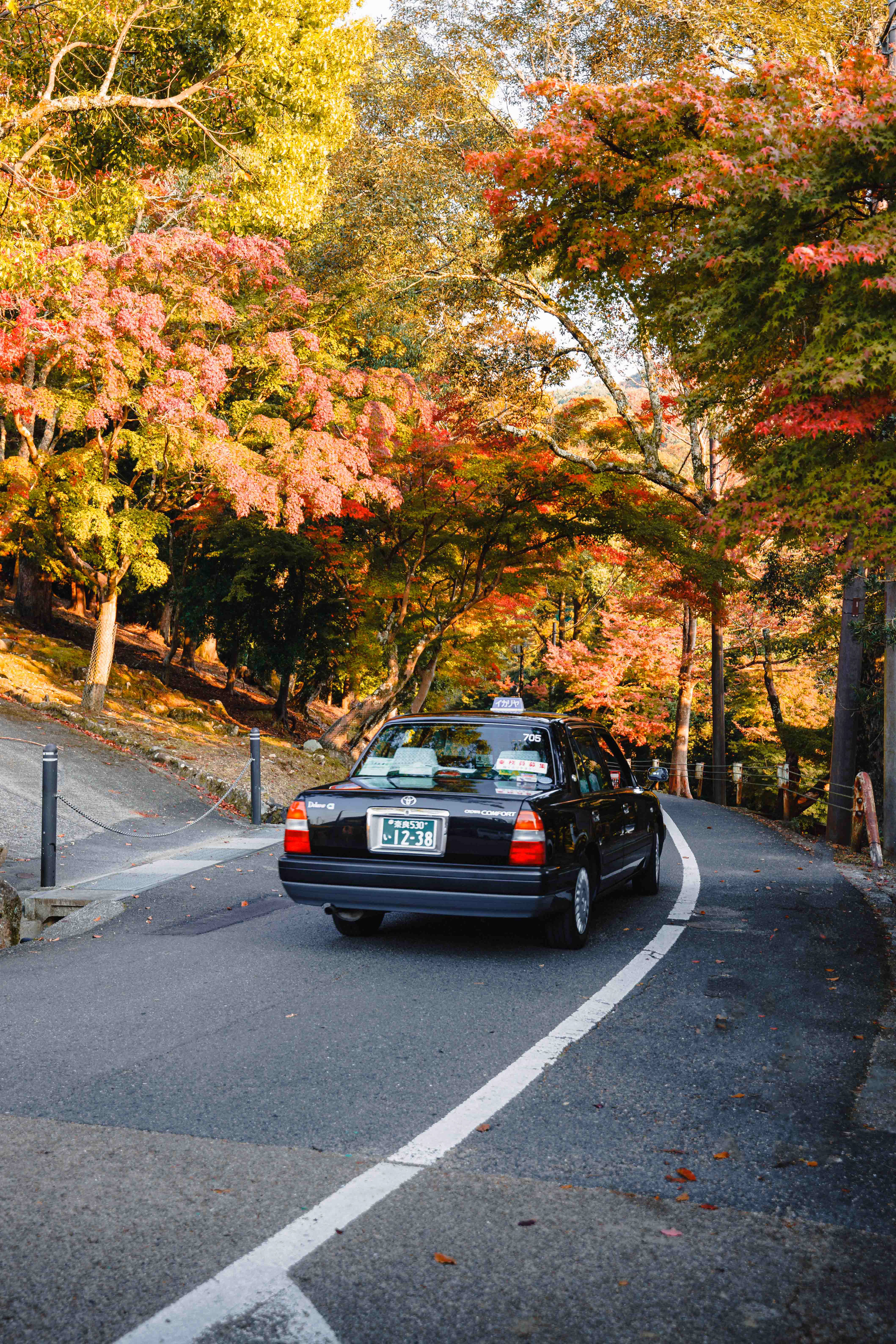 A taxi driving along a road in Nara, surrounded by trees during Koyo in autumn.
