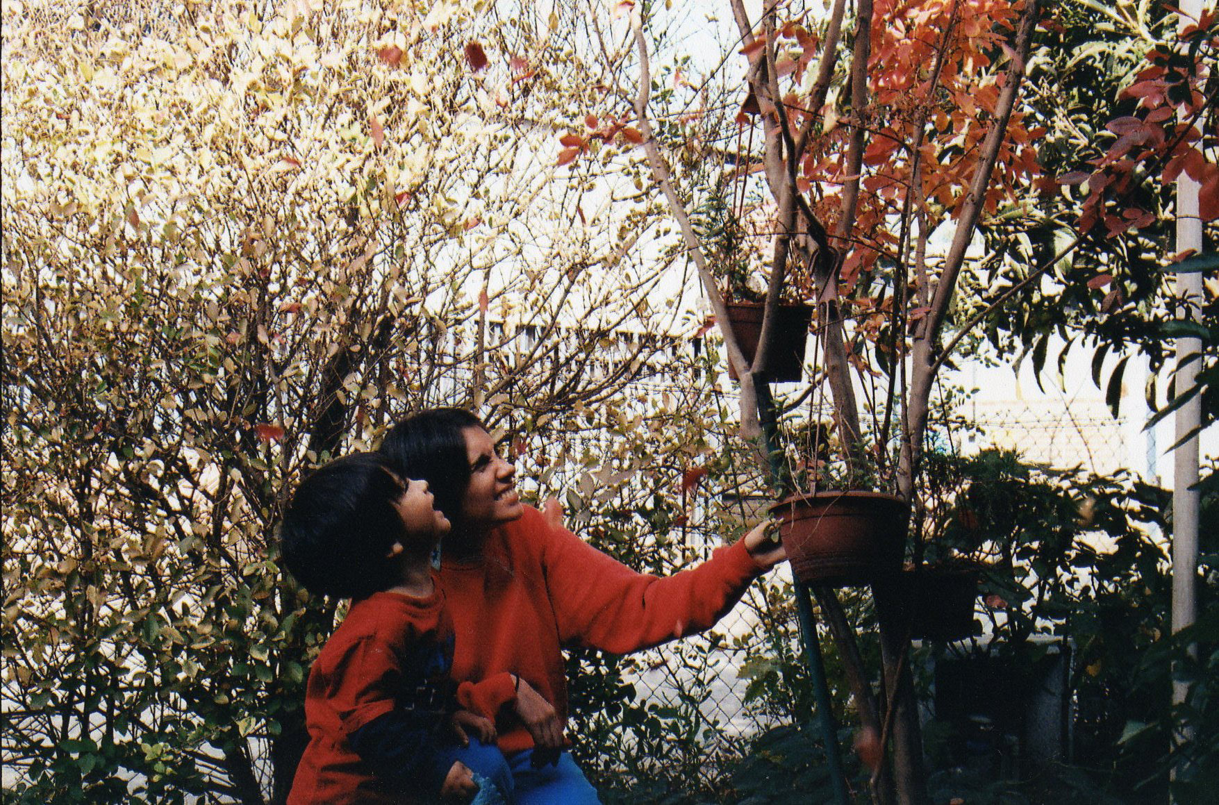 San Javier, Chile