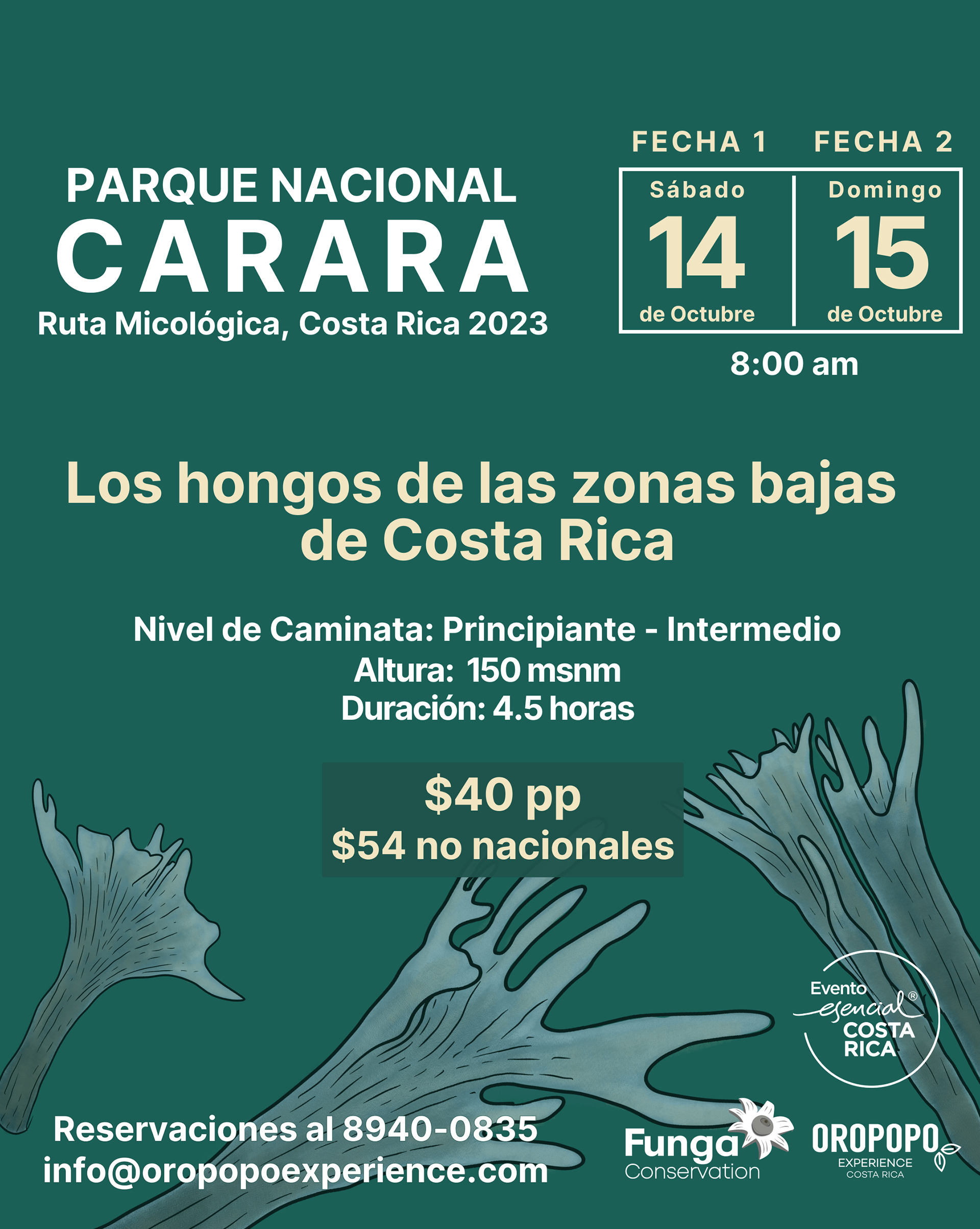 Información