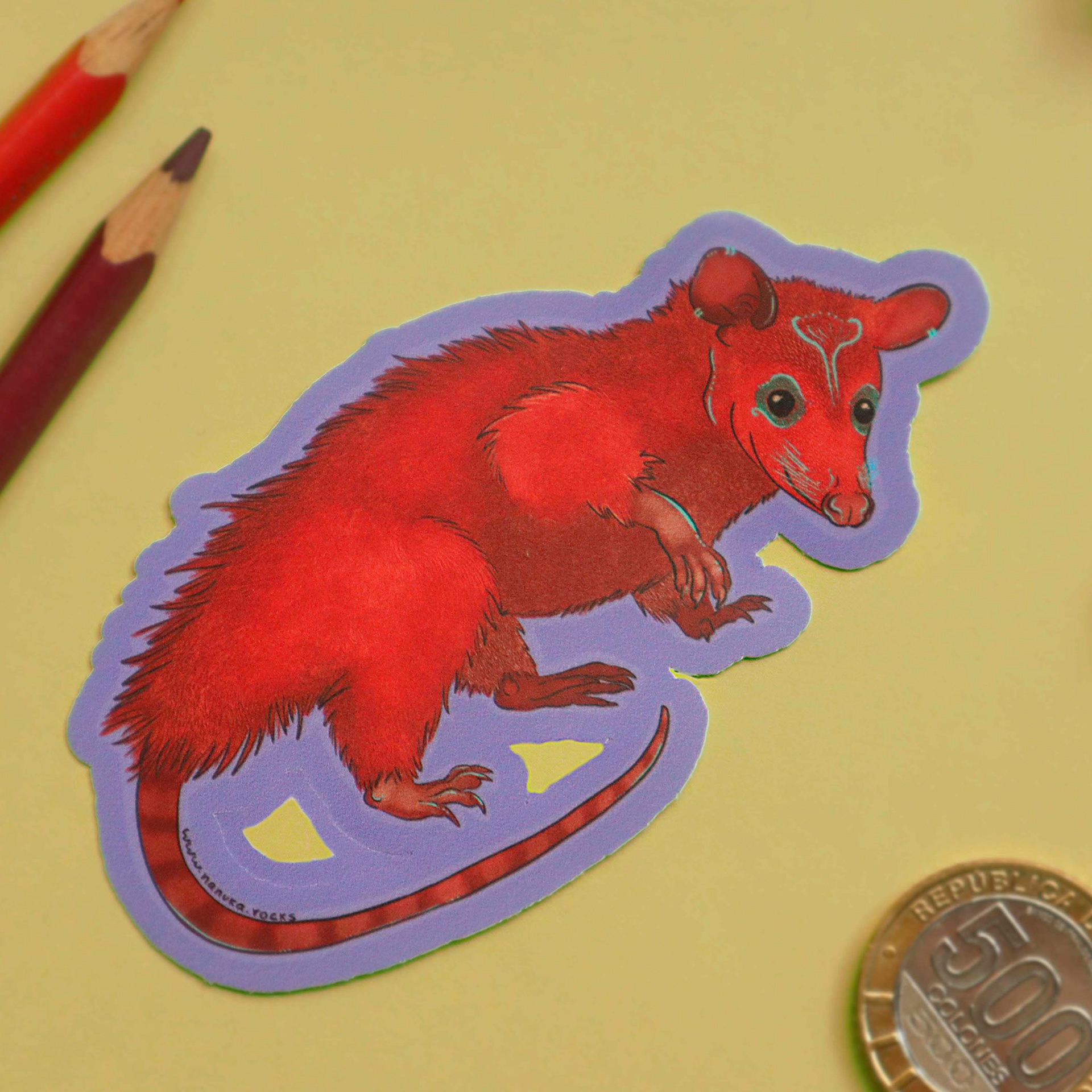 Zari, Didelphis marsupialis