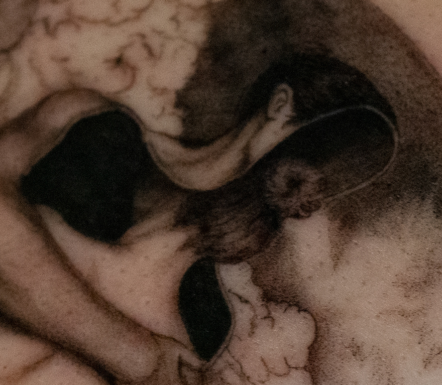 Shelter, details, microrealism tattoo
