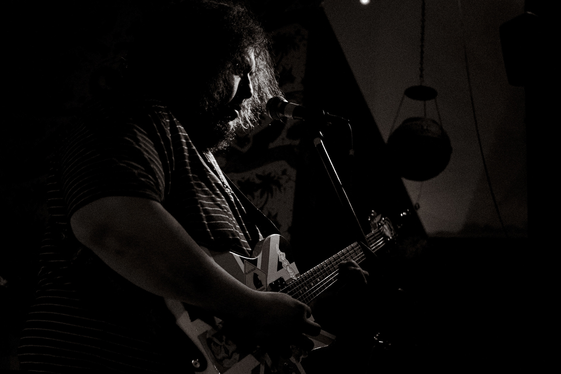 Night Owl Collective