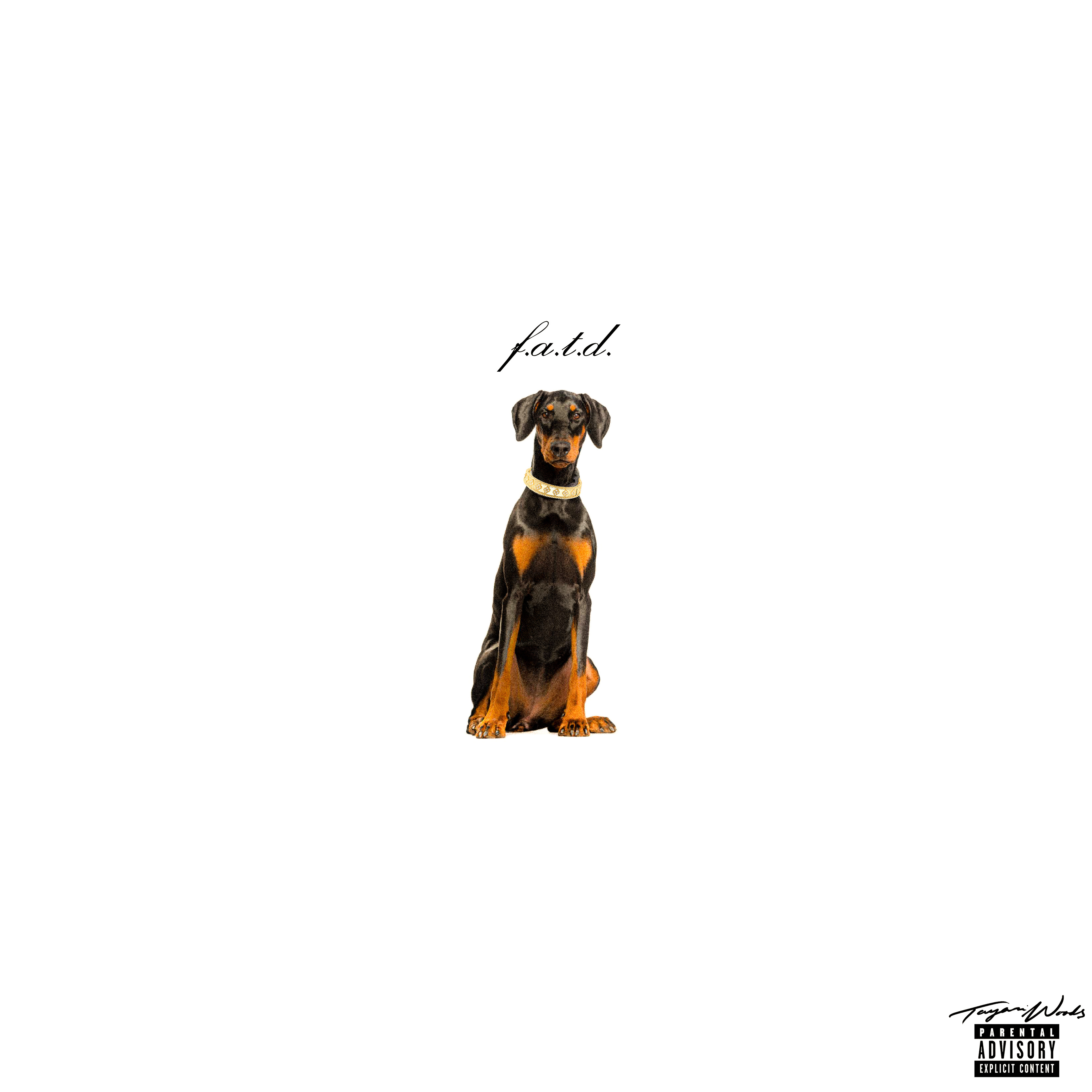 "For All the Dogs" (Alternate Concept Cover) (5500 x 5500px)