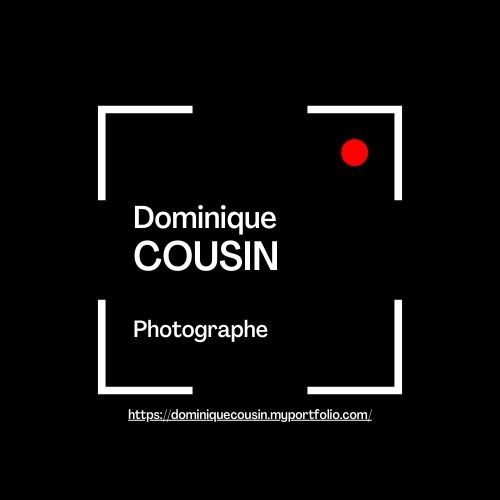 Dominique COUSIN - Photographe