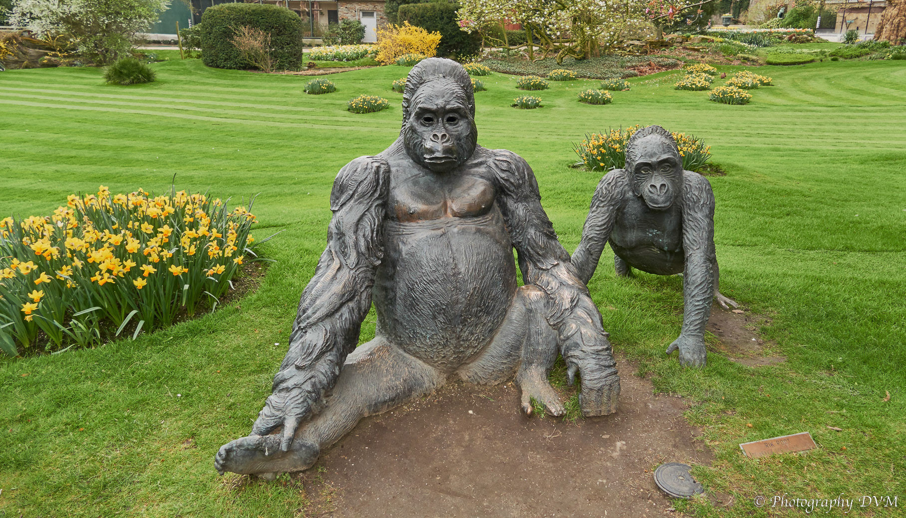 Heilige familie gorilla's (Rik Poot) - Holy Family gorillas (Rik Poot)