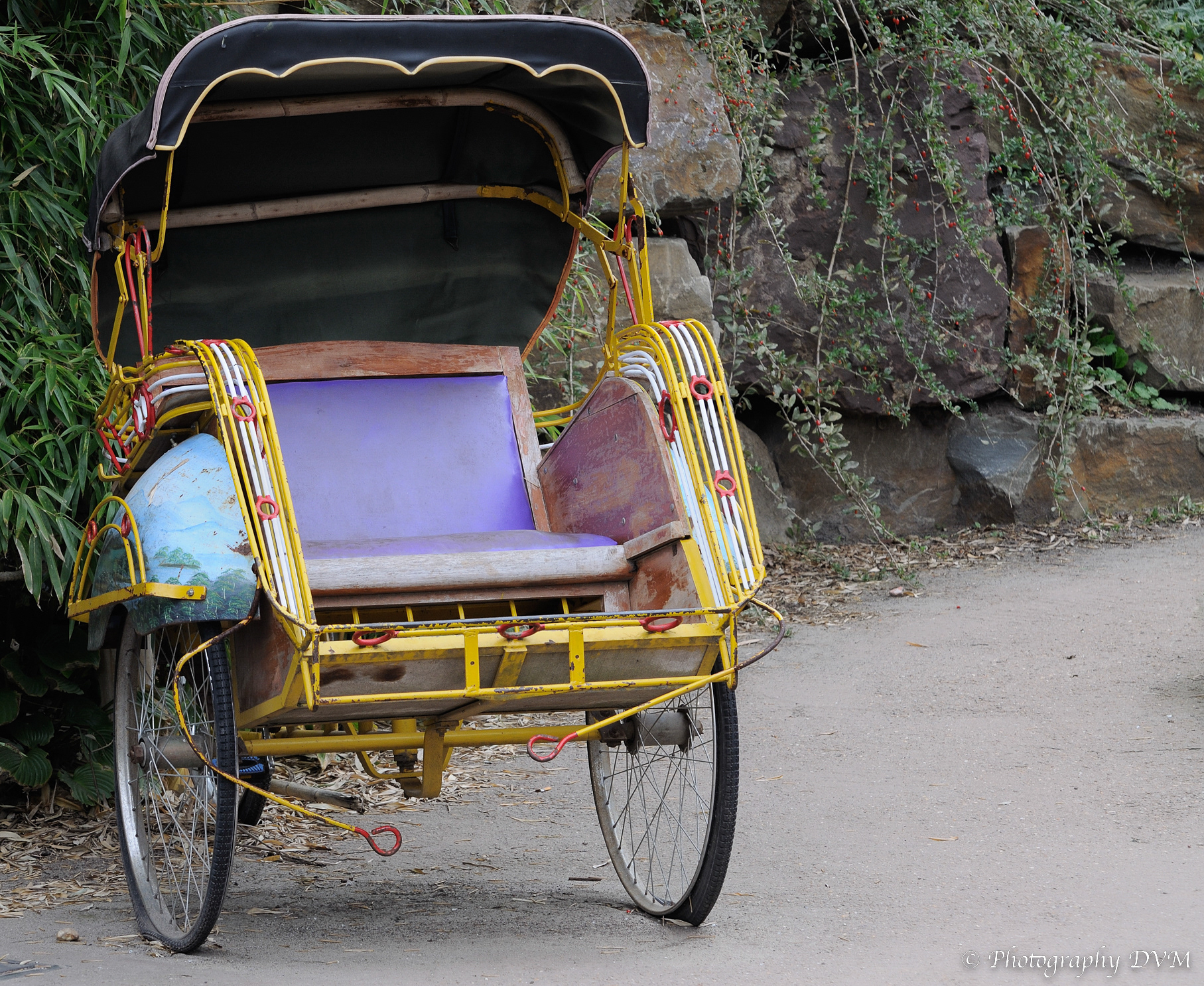 Riksja - Cycle rickshaw