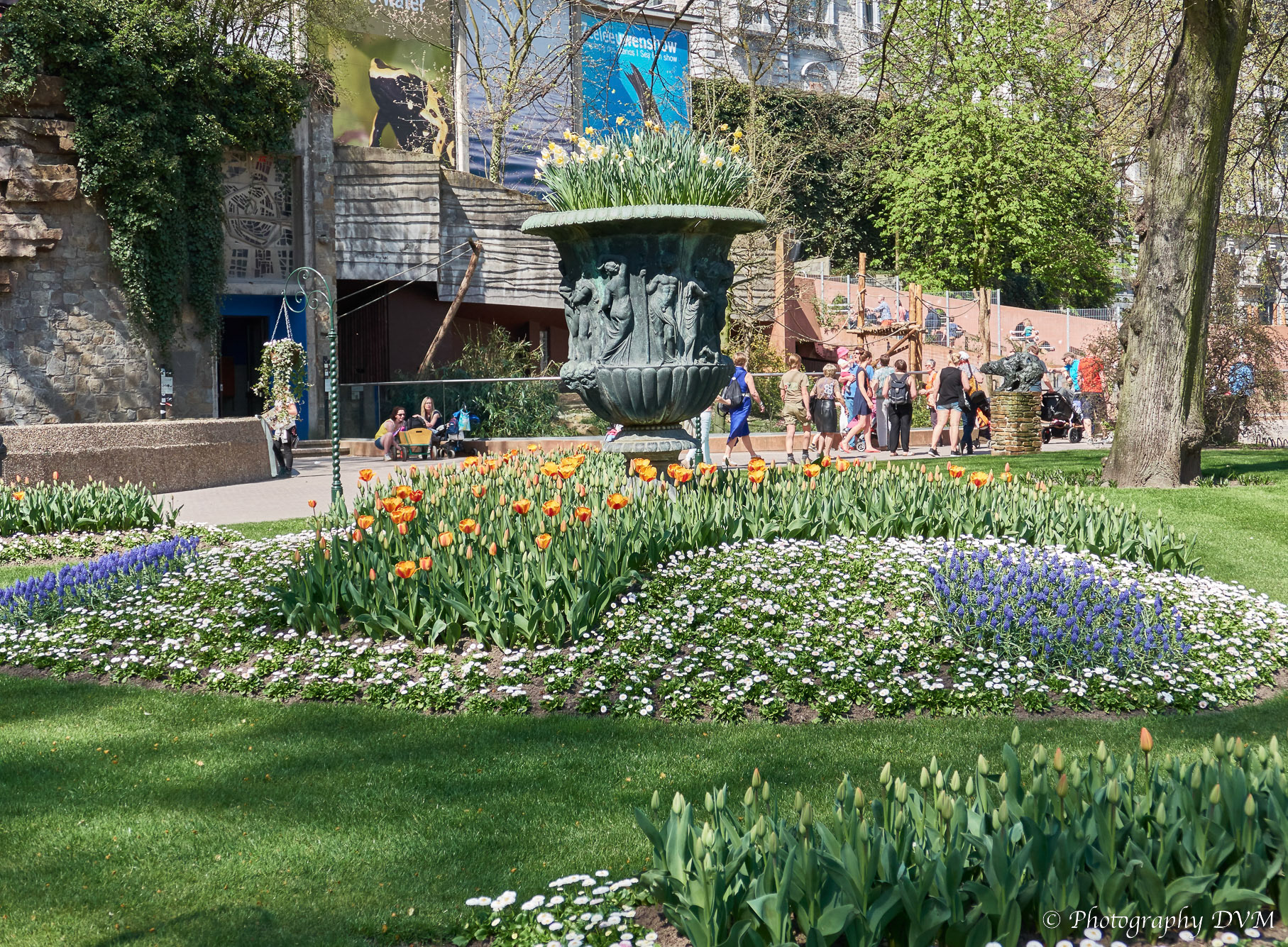 Bloementuin - Flower garden