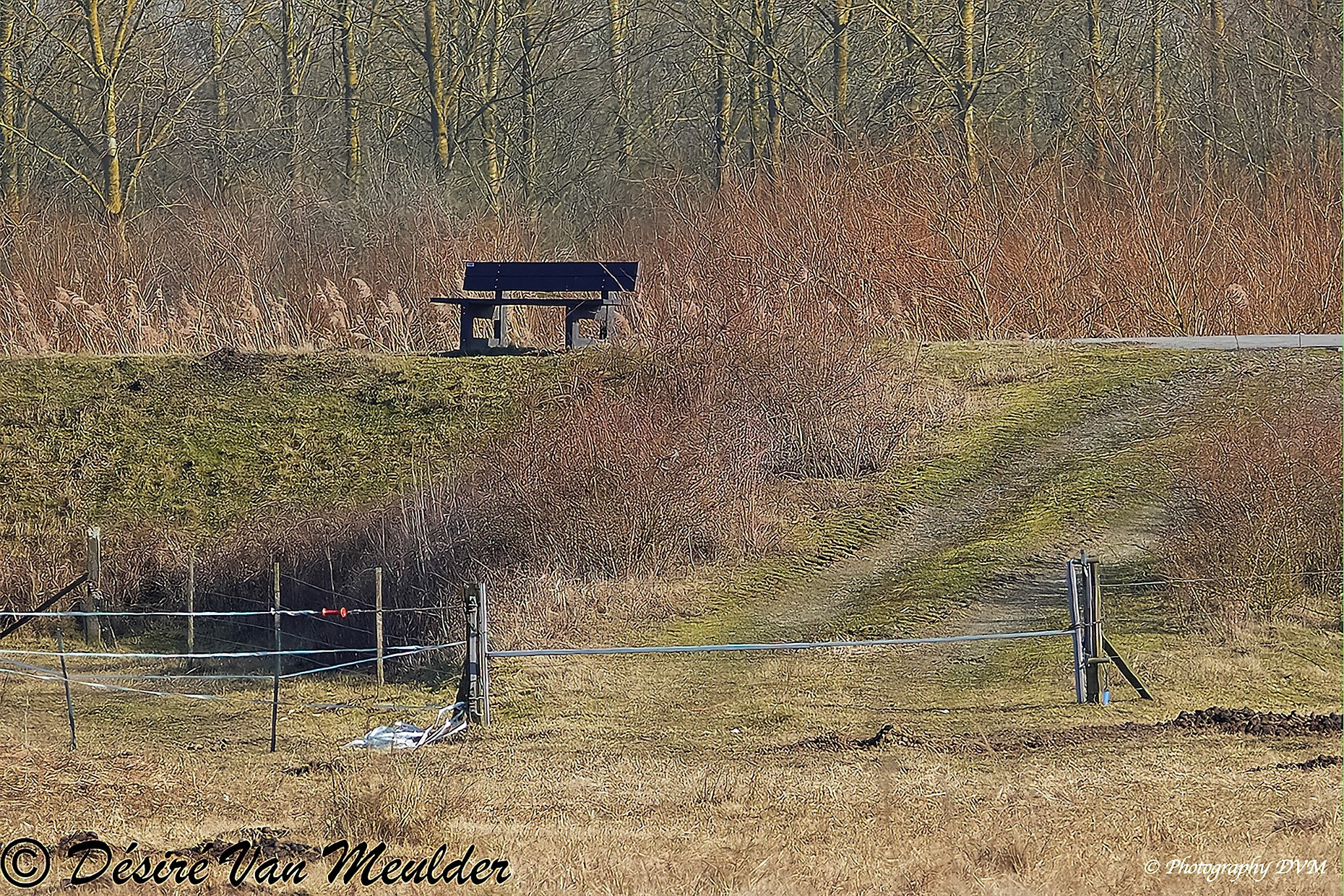 Eenzame bank - Lonely settee >>>>> Noordelijk Eiland en omgeving - Bornem - Belgium