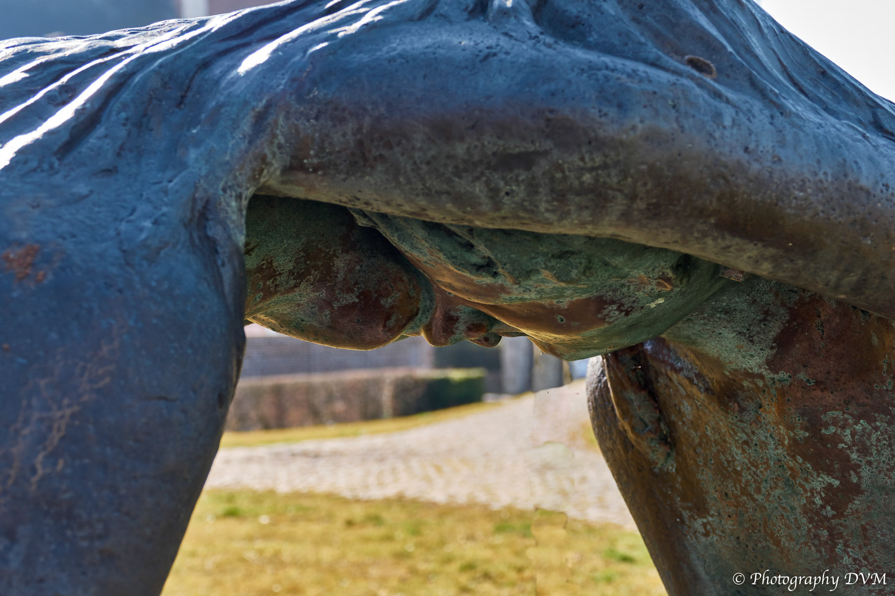 Liefdegetijden (close-up) - Love Tides (close-up)