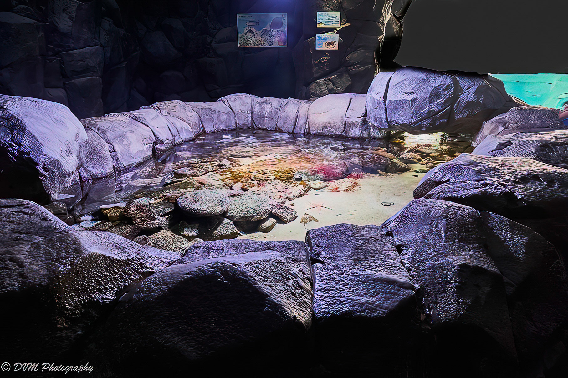 Getijdenpoel - Tidal pool