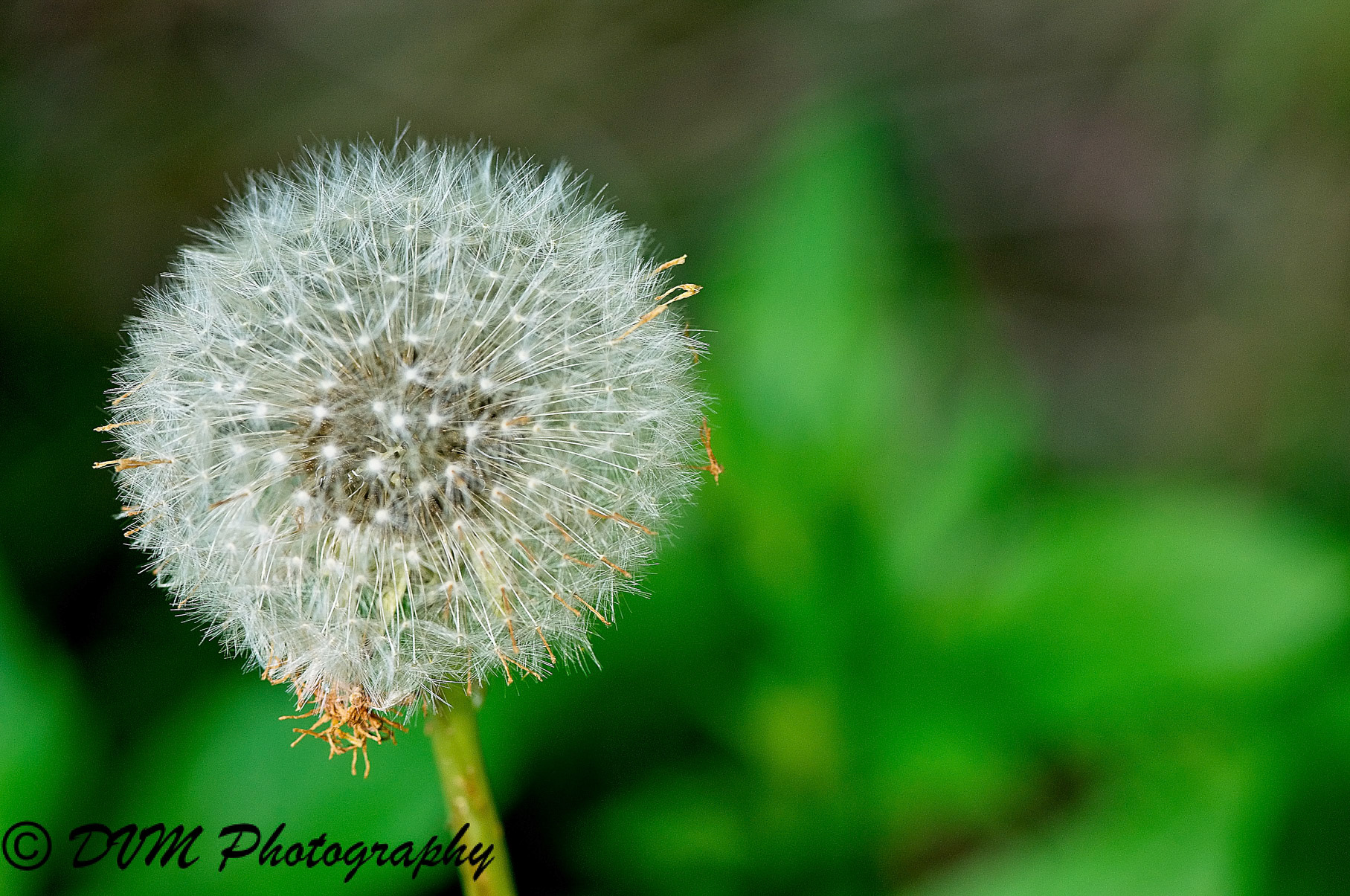 Einde seizoen - End of season