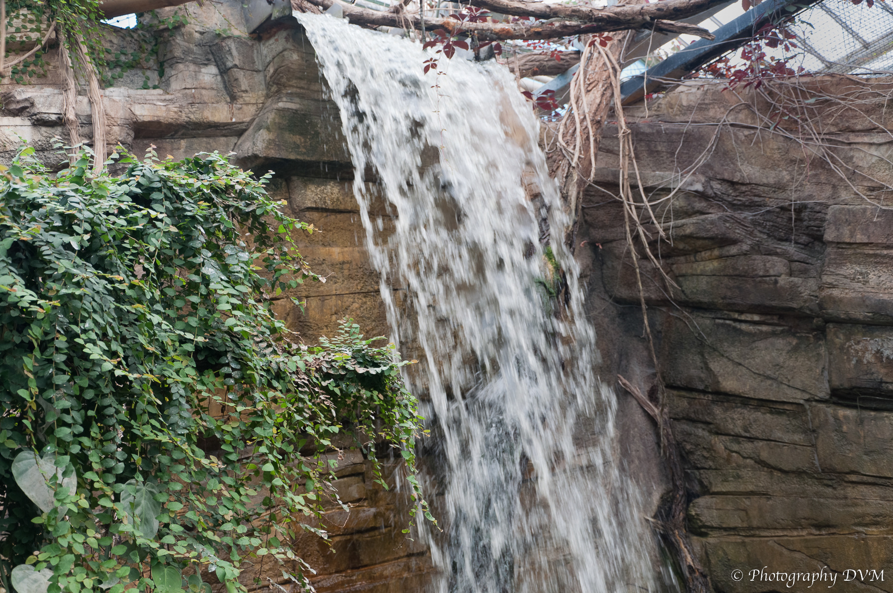 Waterval - Waterfall