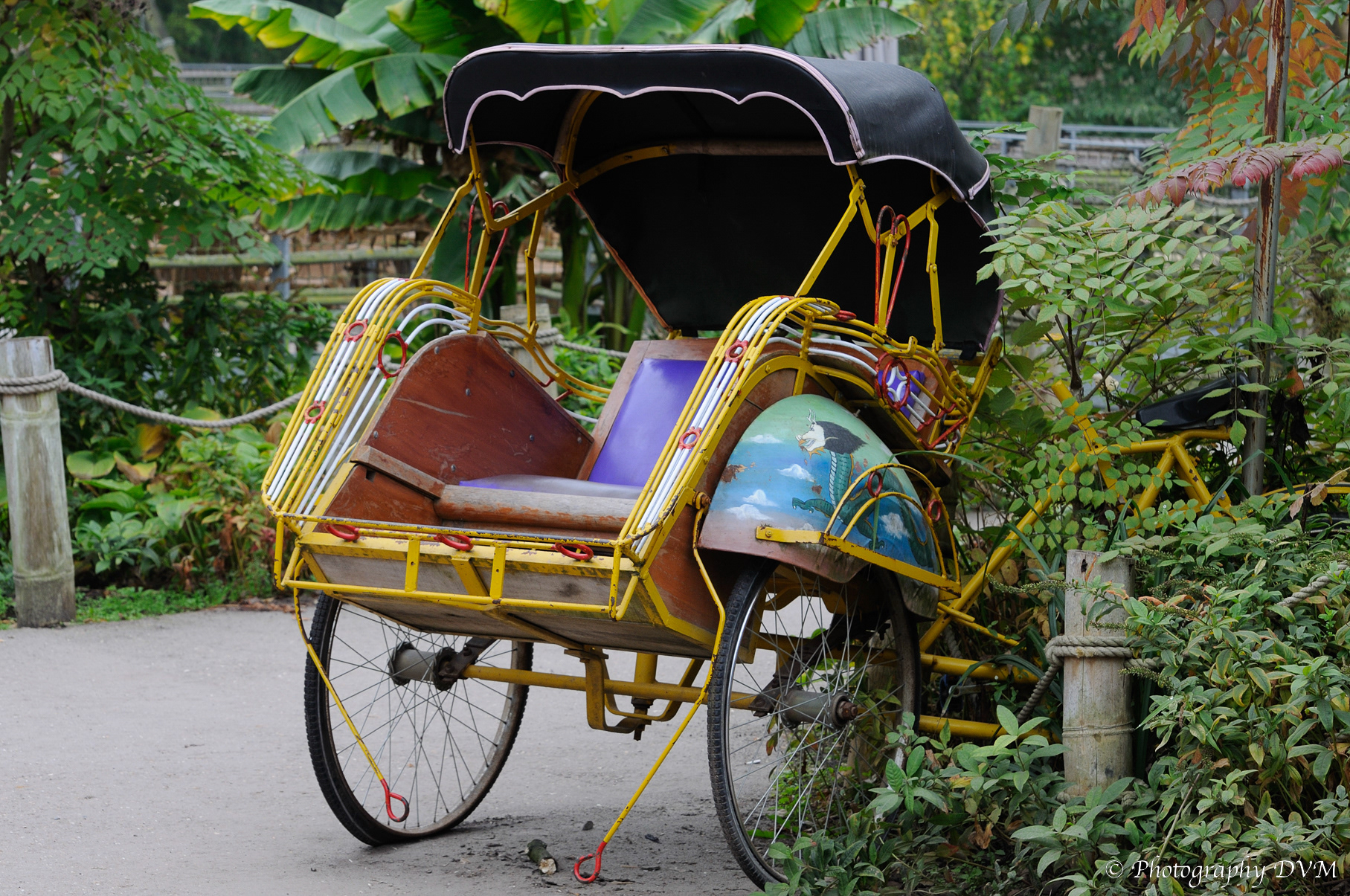 Riksja - Cycle rickshaw