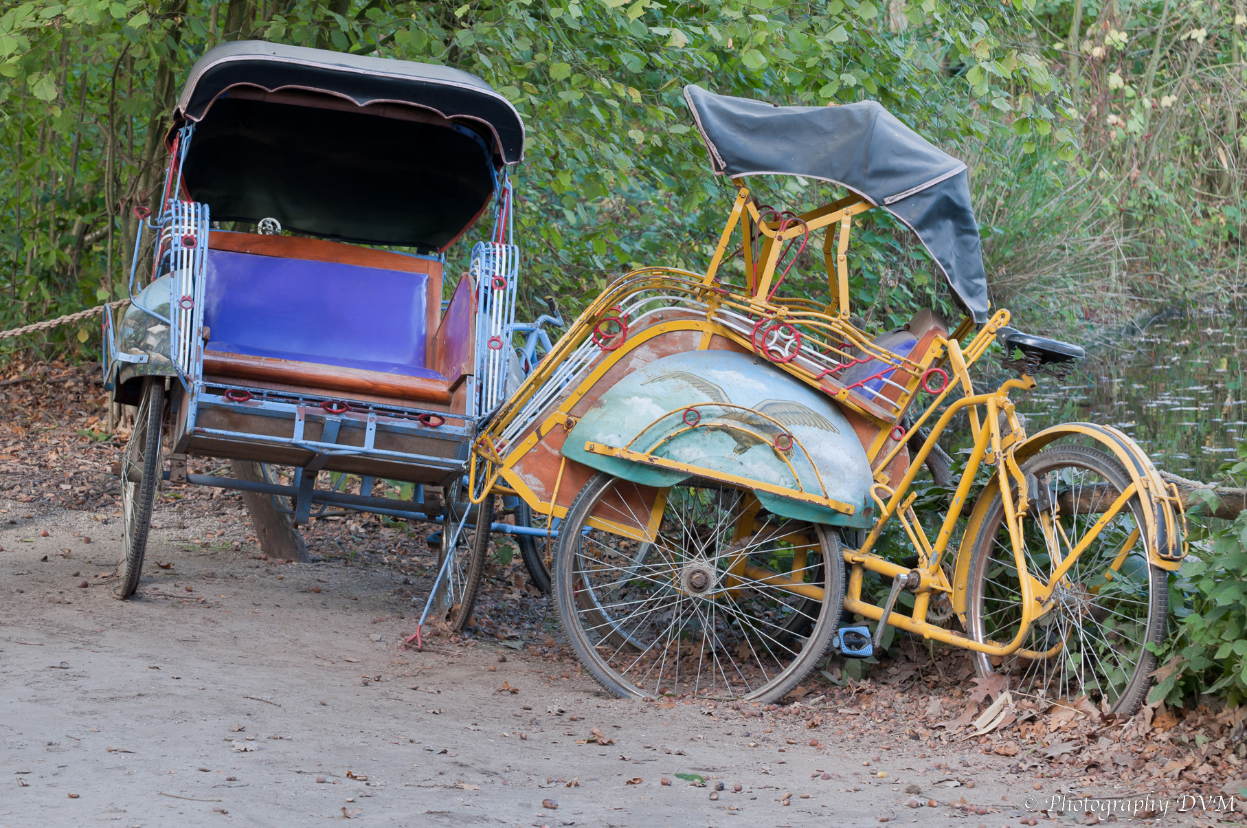 Riksja's - Cycle rickshaws