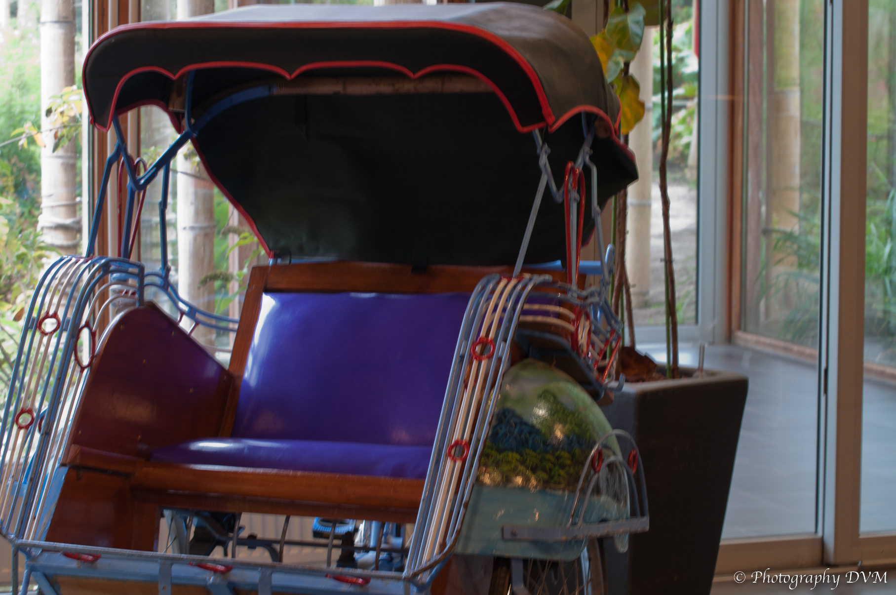 Riksja - Cycle rickshaw