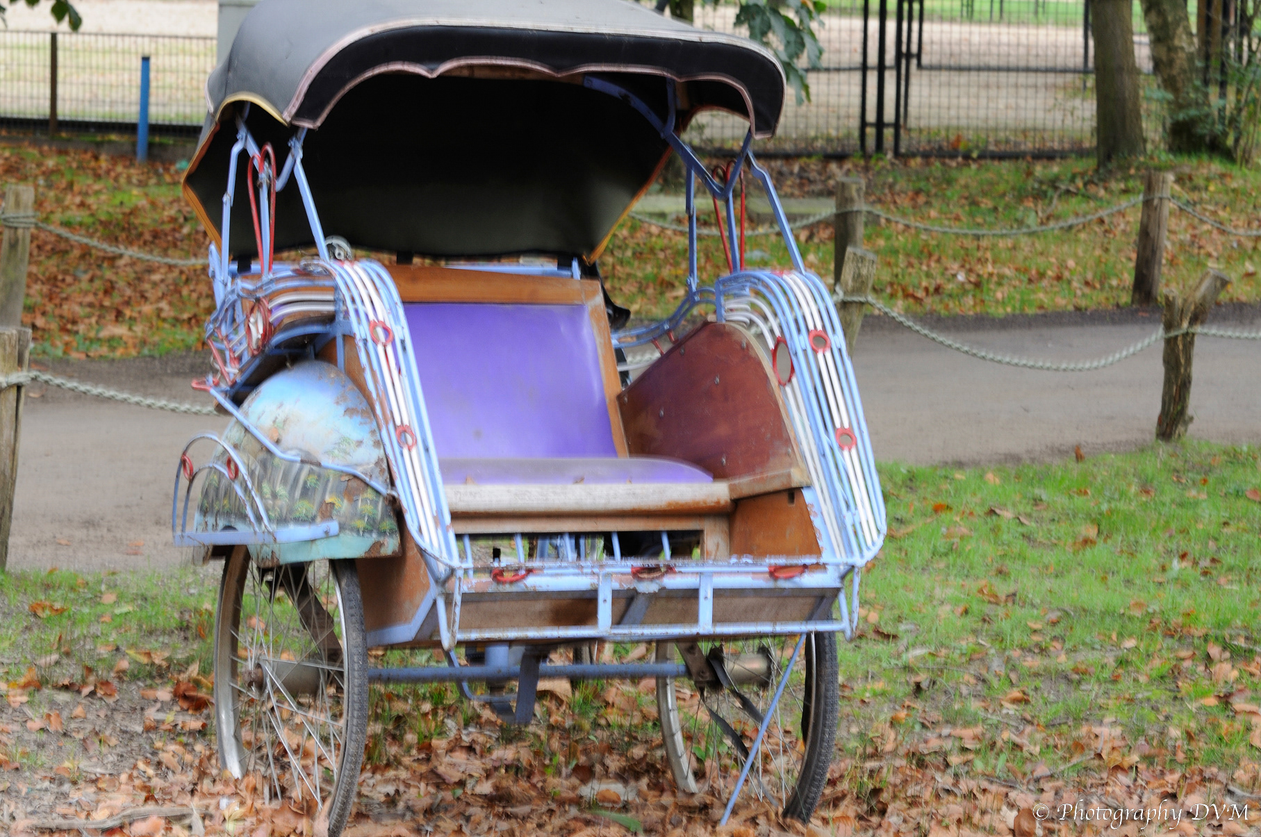 Riksja - Cycle rickshaw