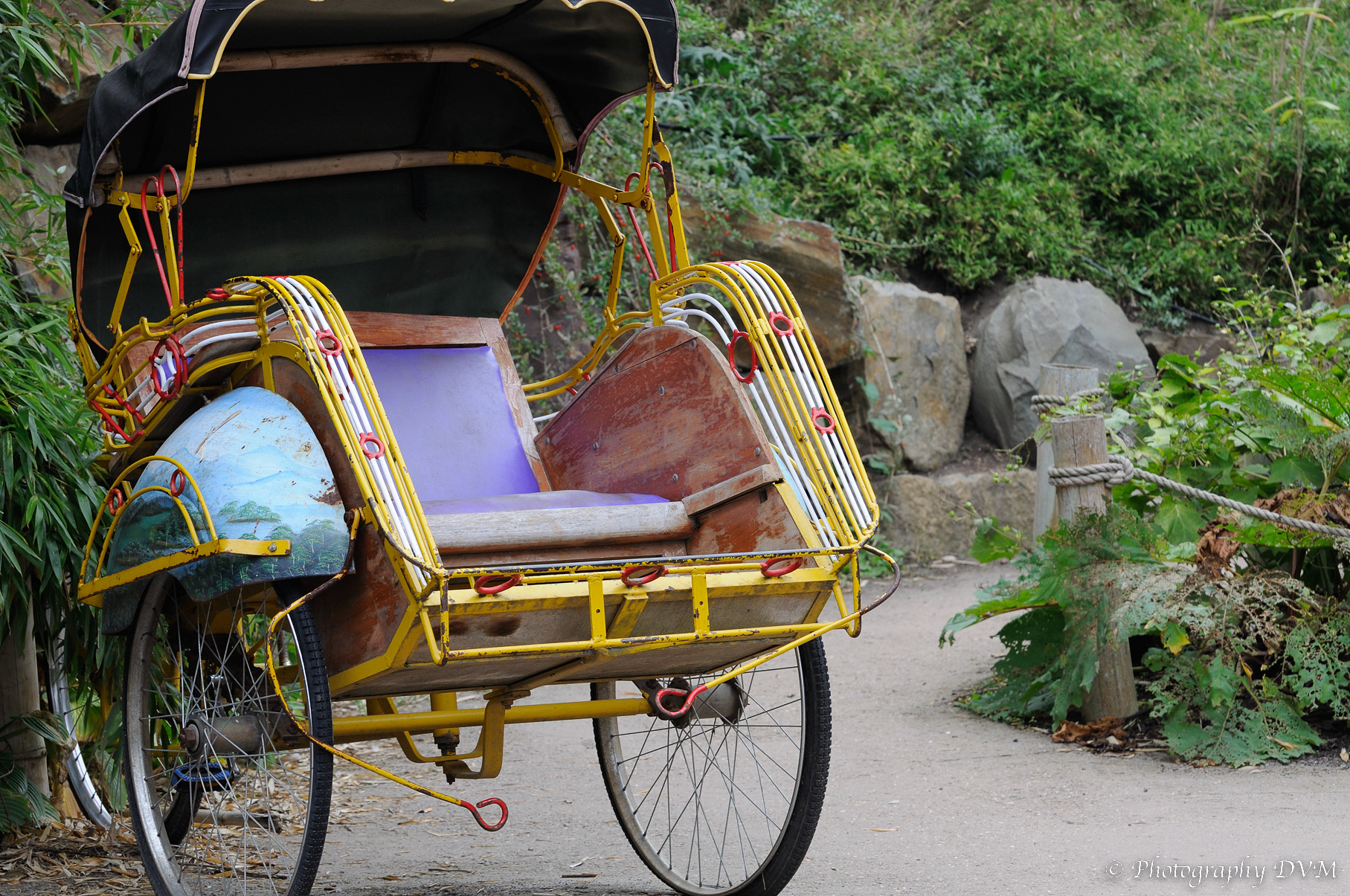 Riksja - Cycle rickshaw
