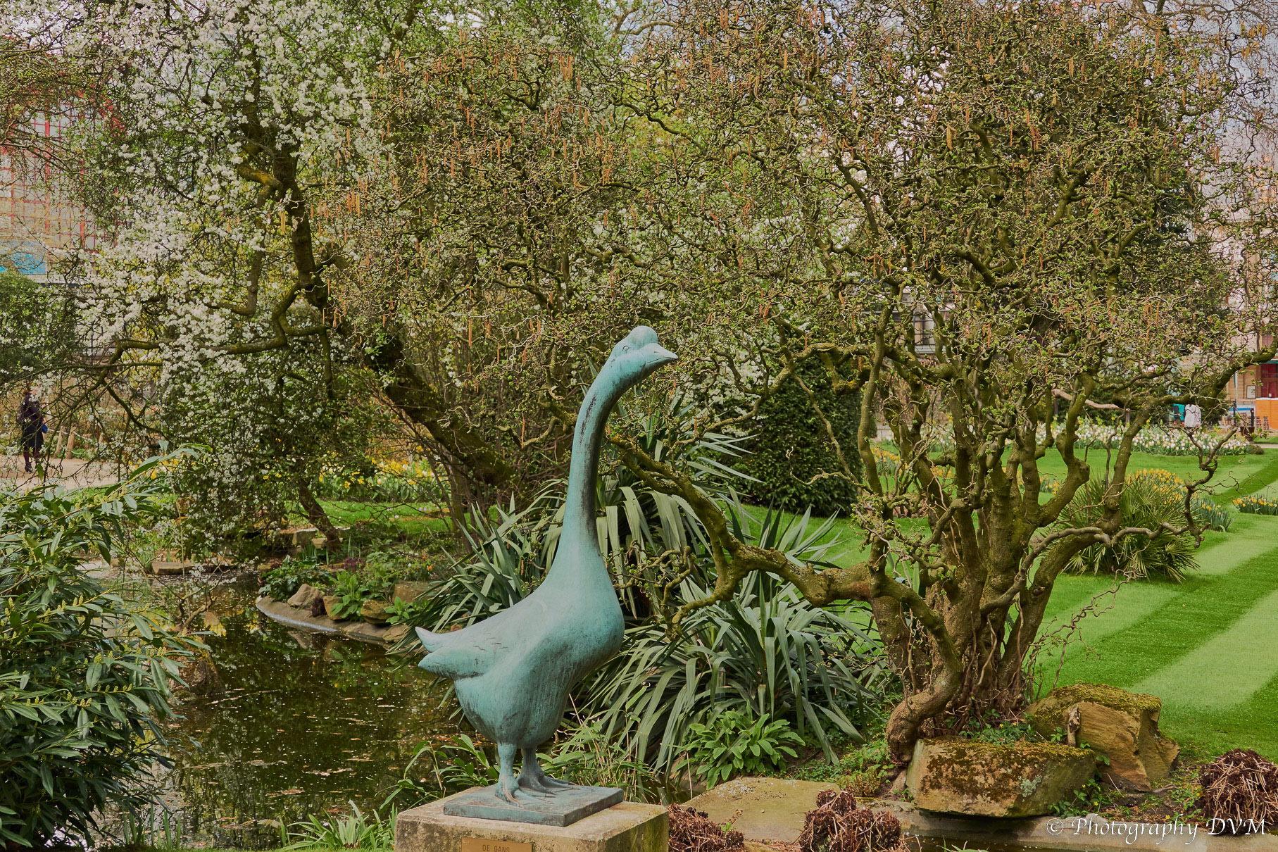 De Gans (Paul Hanrez) - The Goose (Paul Hanrez)