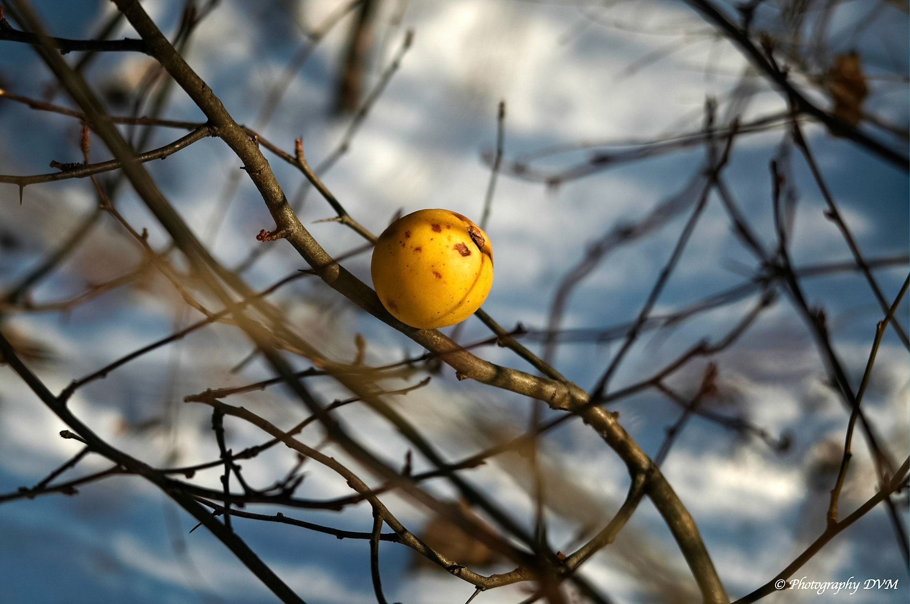 Hmm Lekker - Hmm yummy >>>>> Breeven - Bornem - Belgium